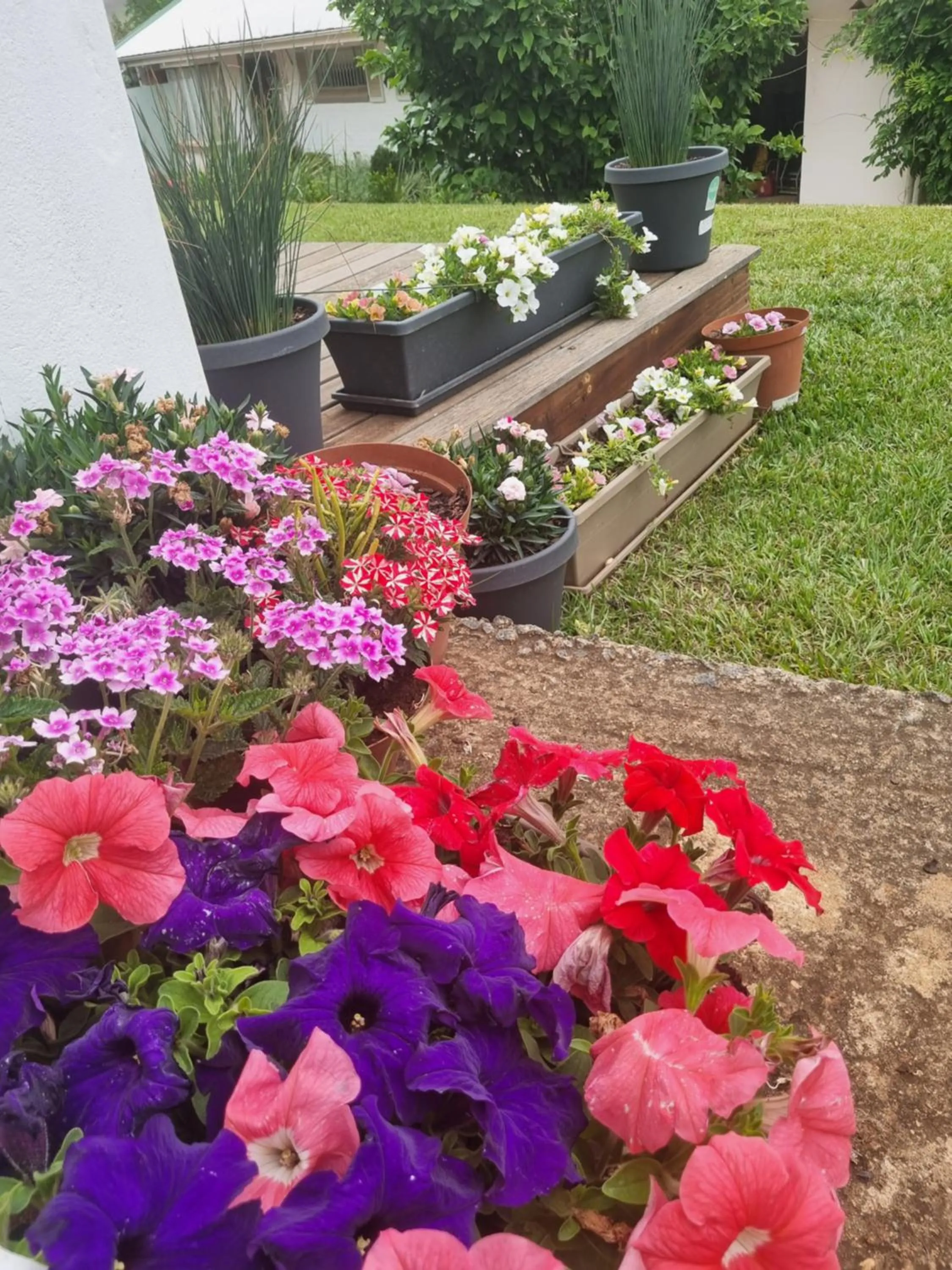 The Cottage on the Corner