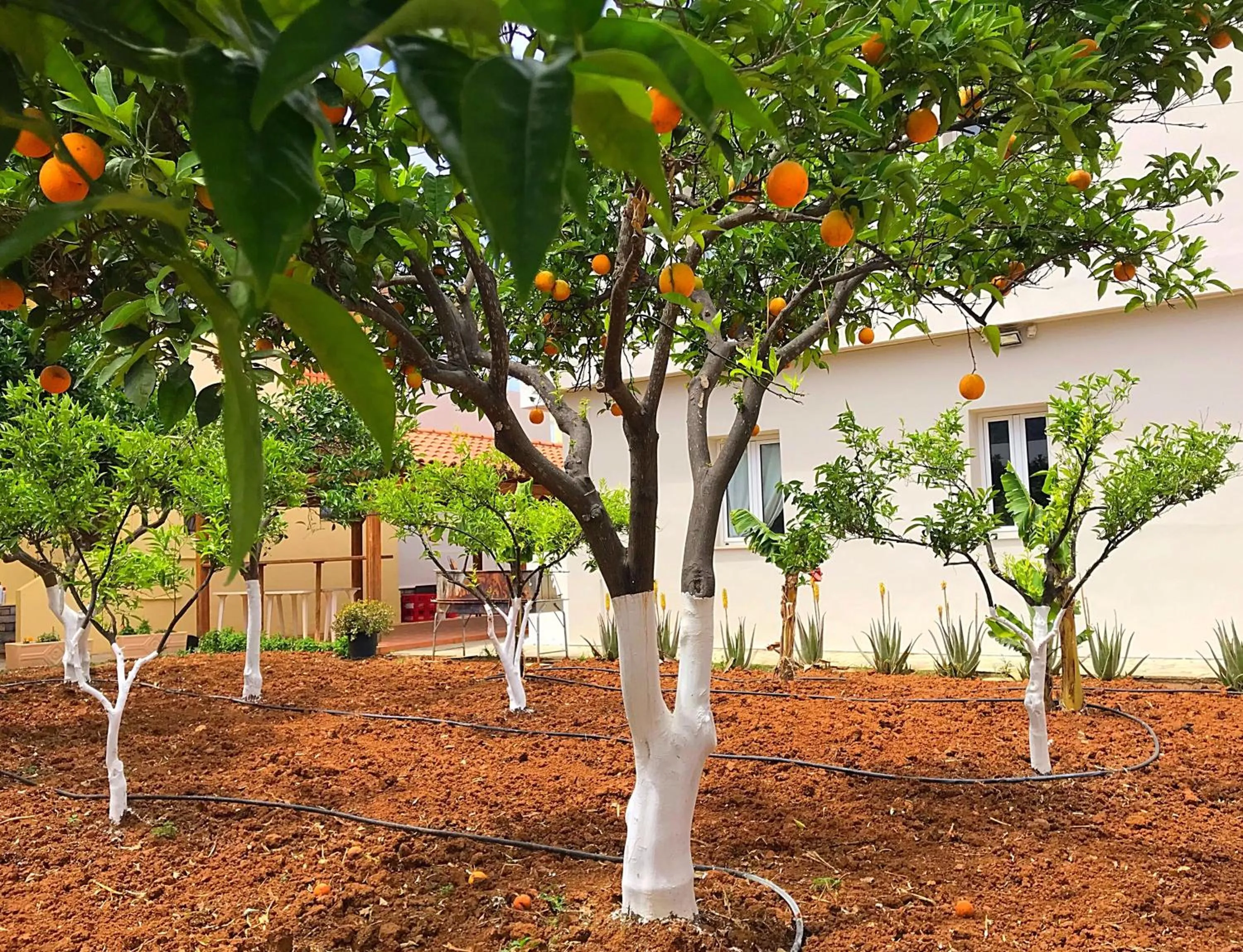 Spring in Maria Hotel Sisi