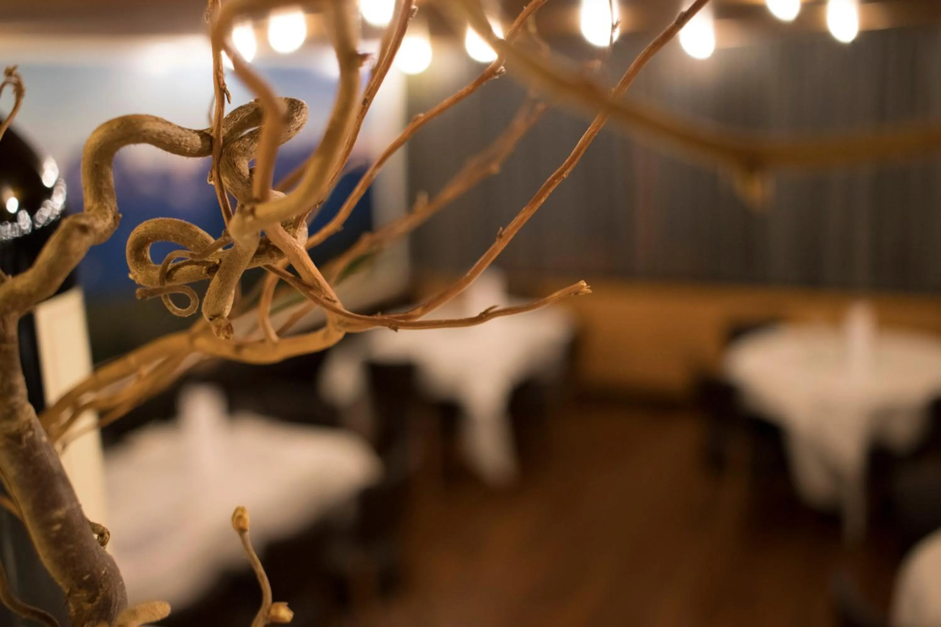 Bed in Style Hotel Grifone