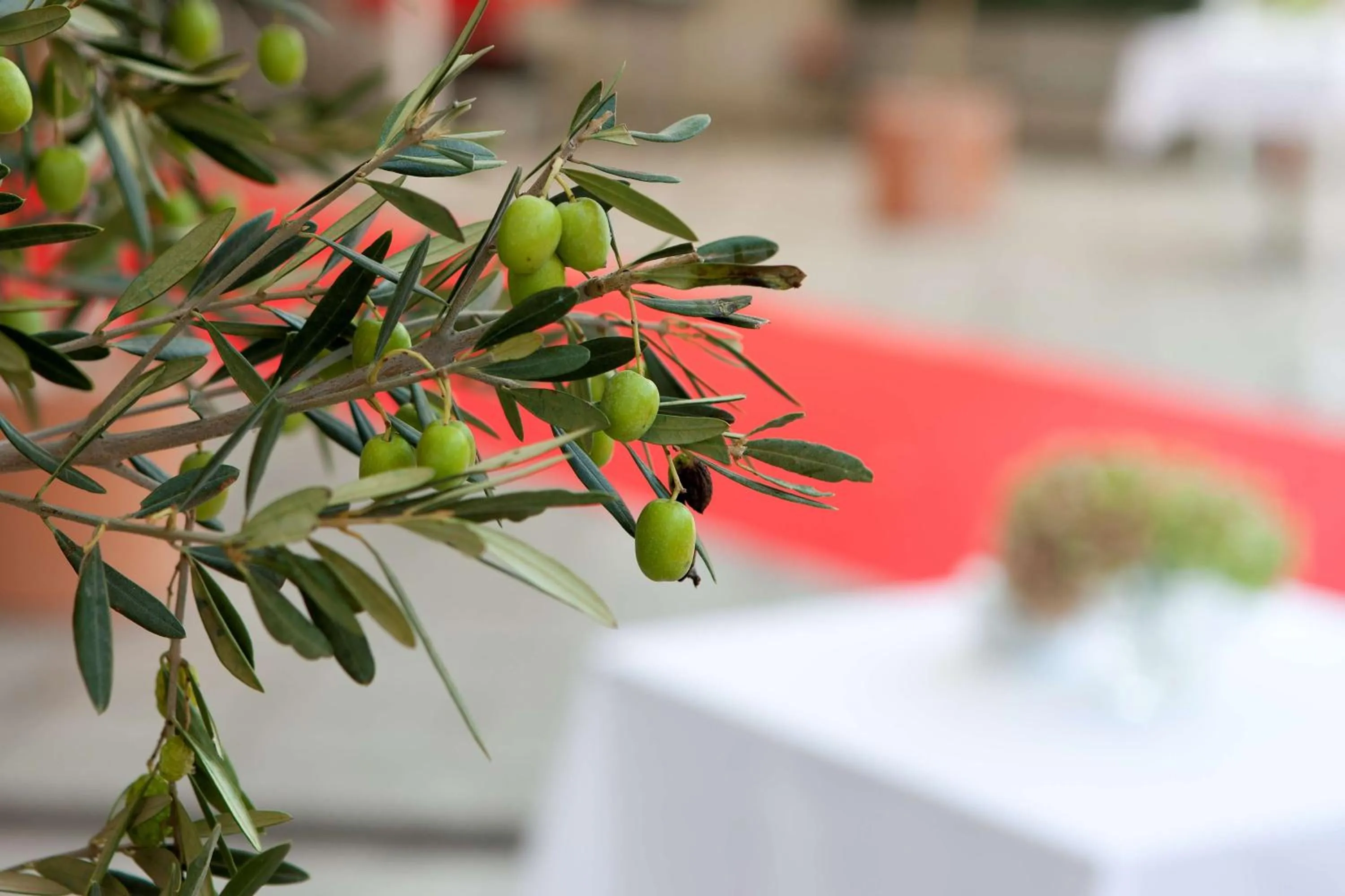 Other in NH La Avanzada