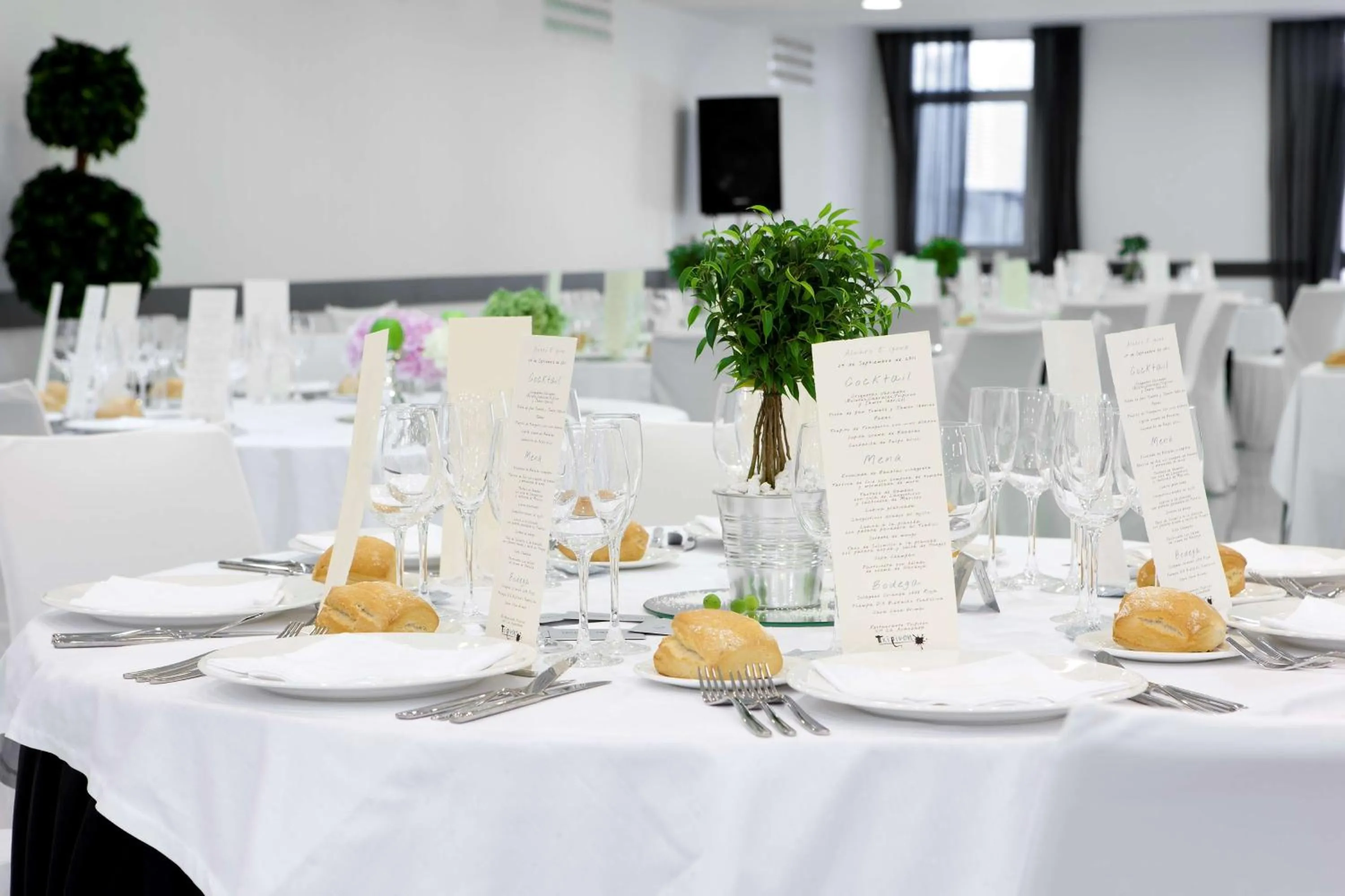 wedding in NH La Avanzada