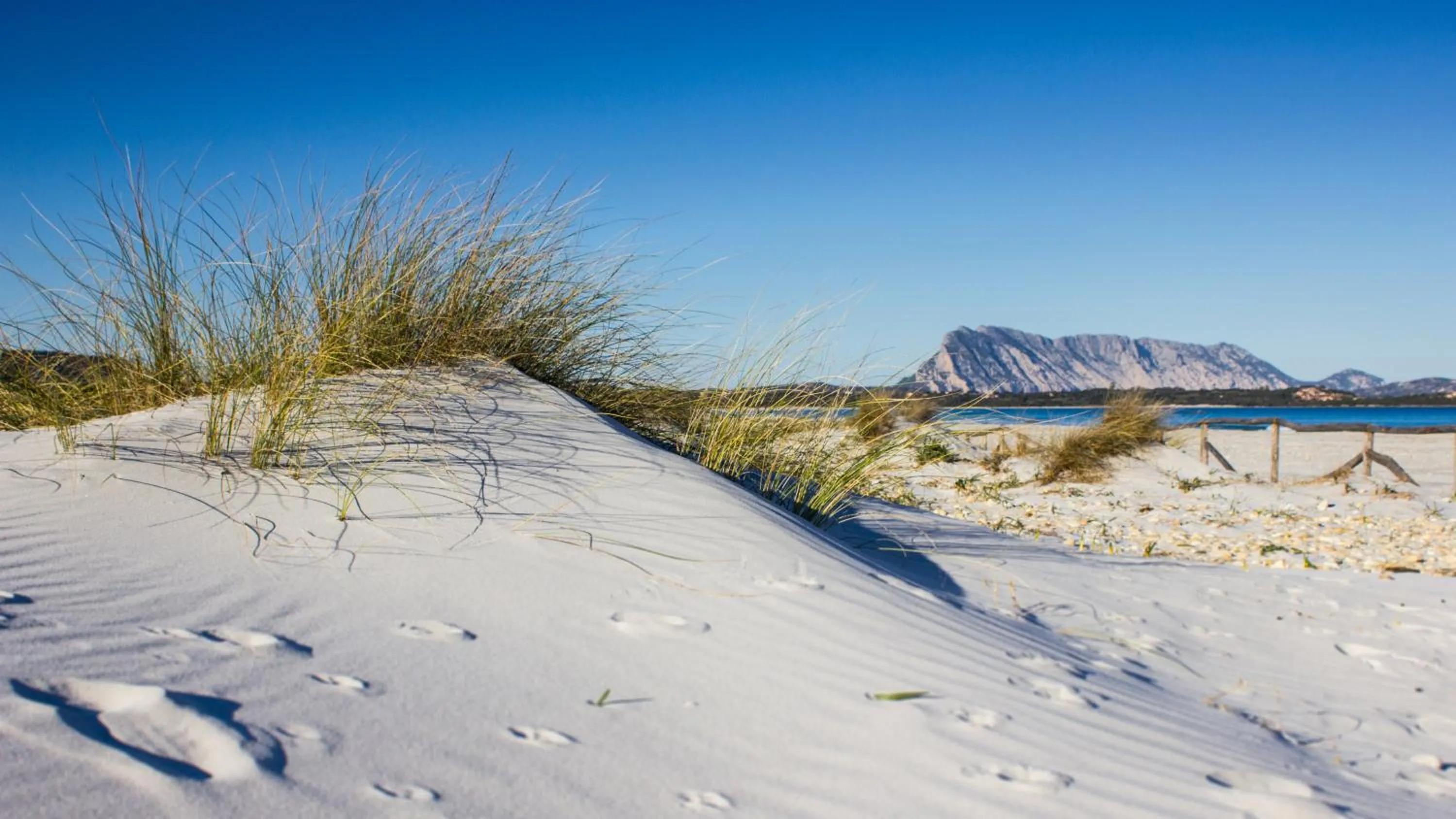 Area and facilities in Terradimare Resort&Spa