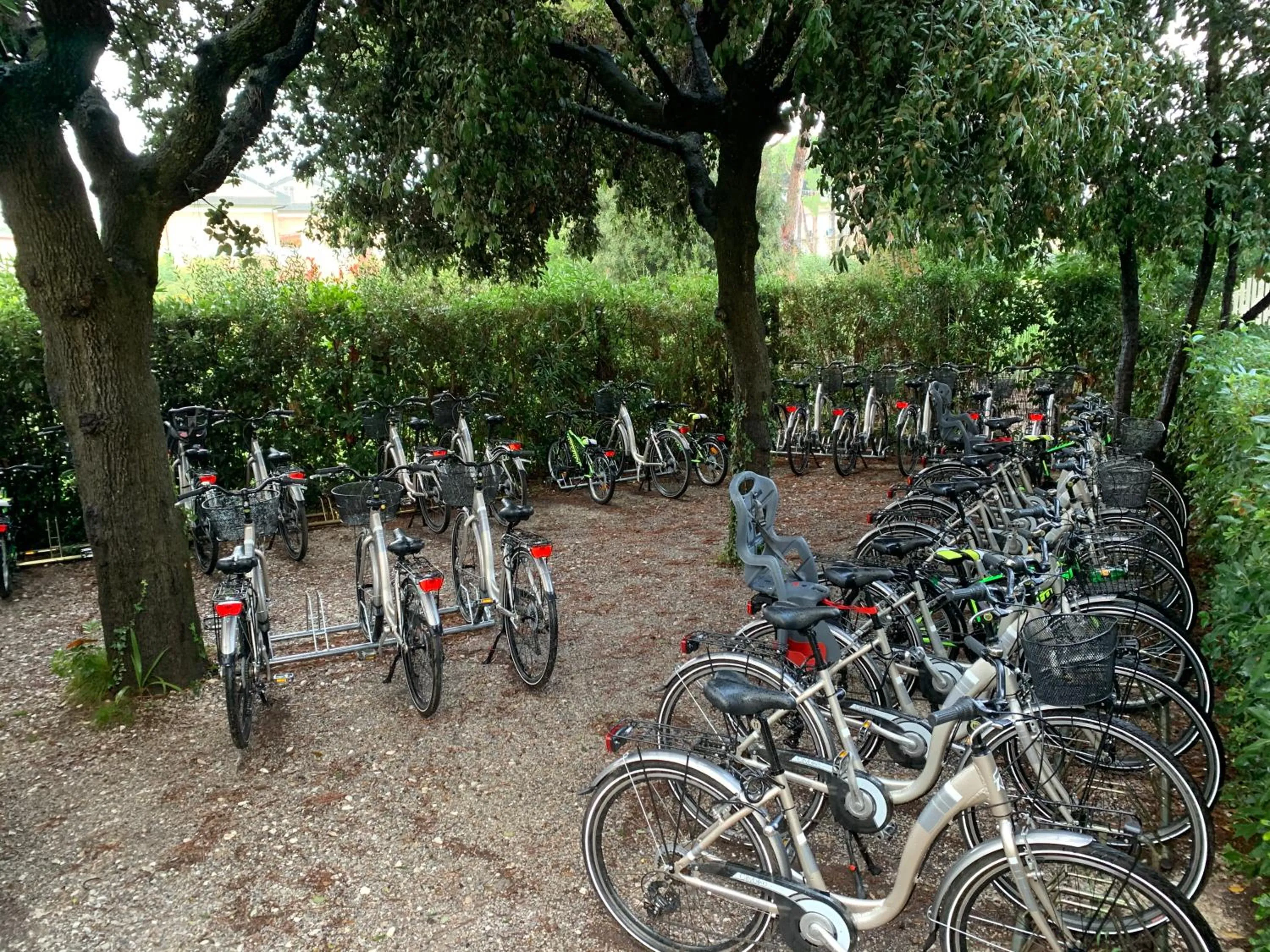 Cycling in Villa Mazzanta Relais & Hotel