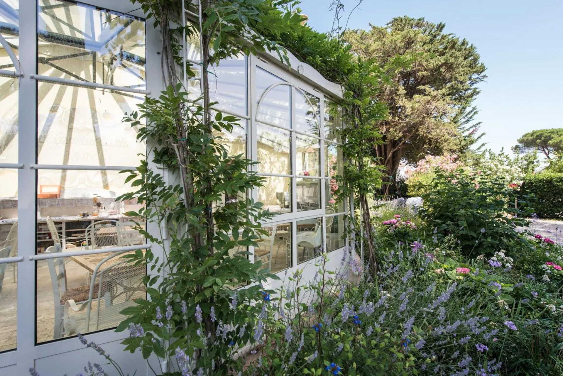 Garden in Villa Mazzanta Relais & Hotel