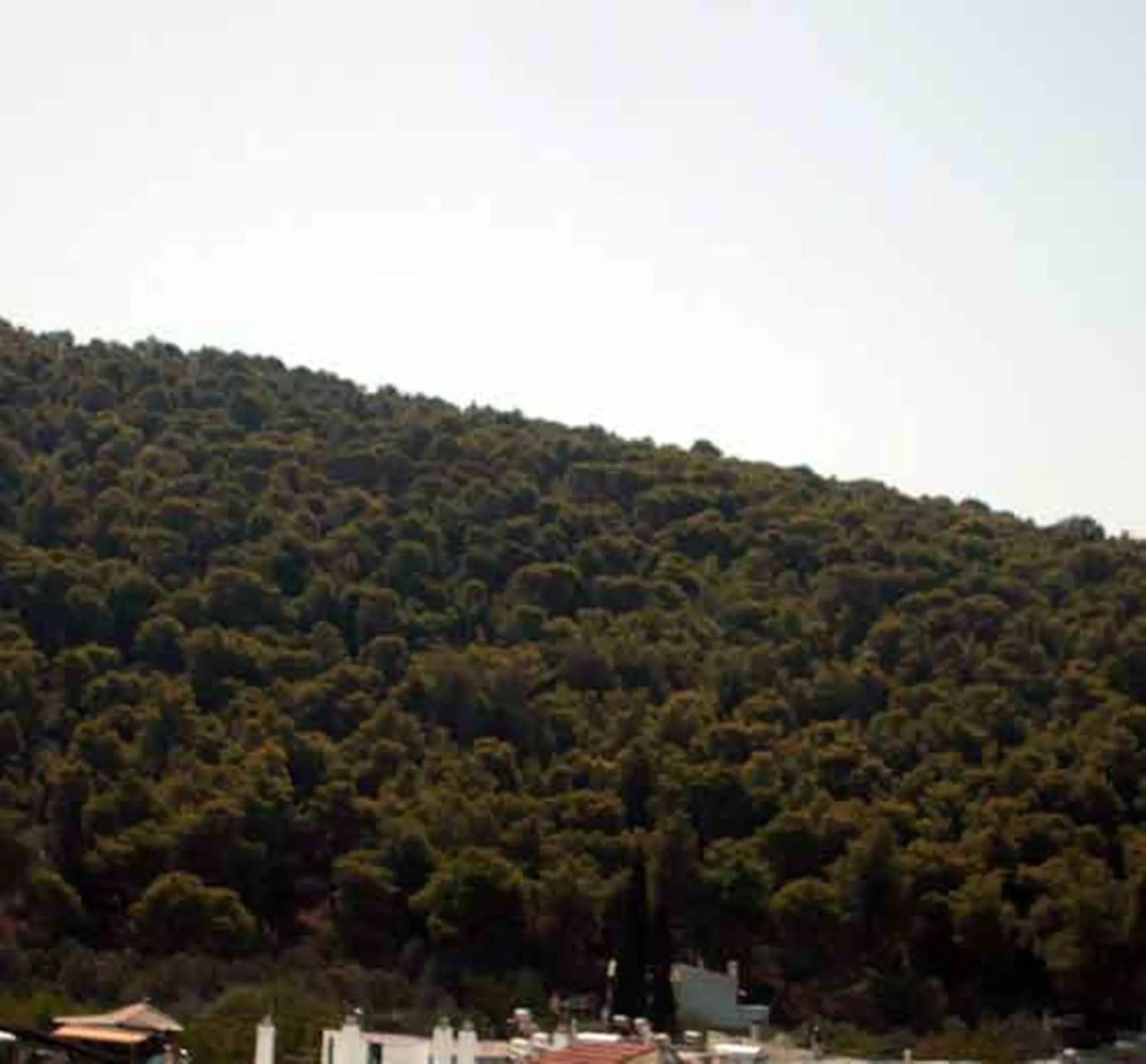 Day in Villa Dolphins