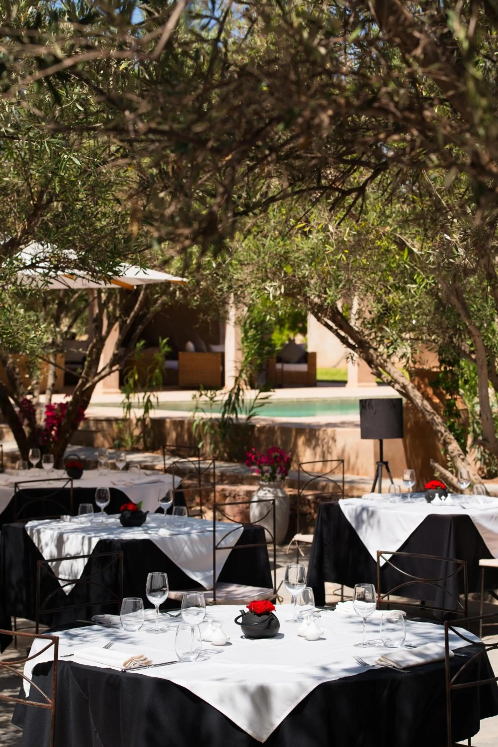 Restaurant/places to eat in The Capaldi Hotel, Restaurant & Spa