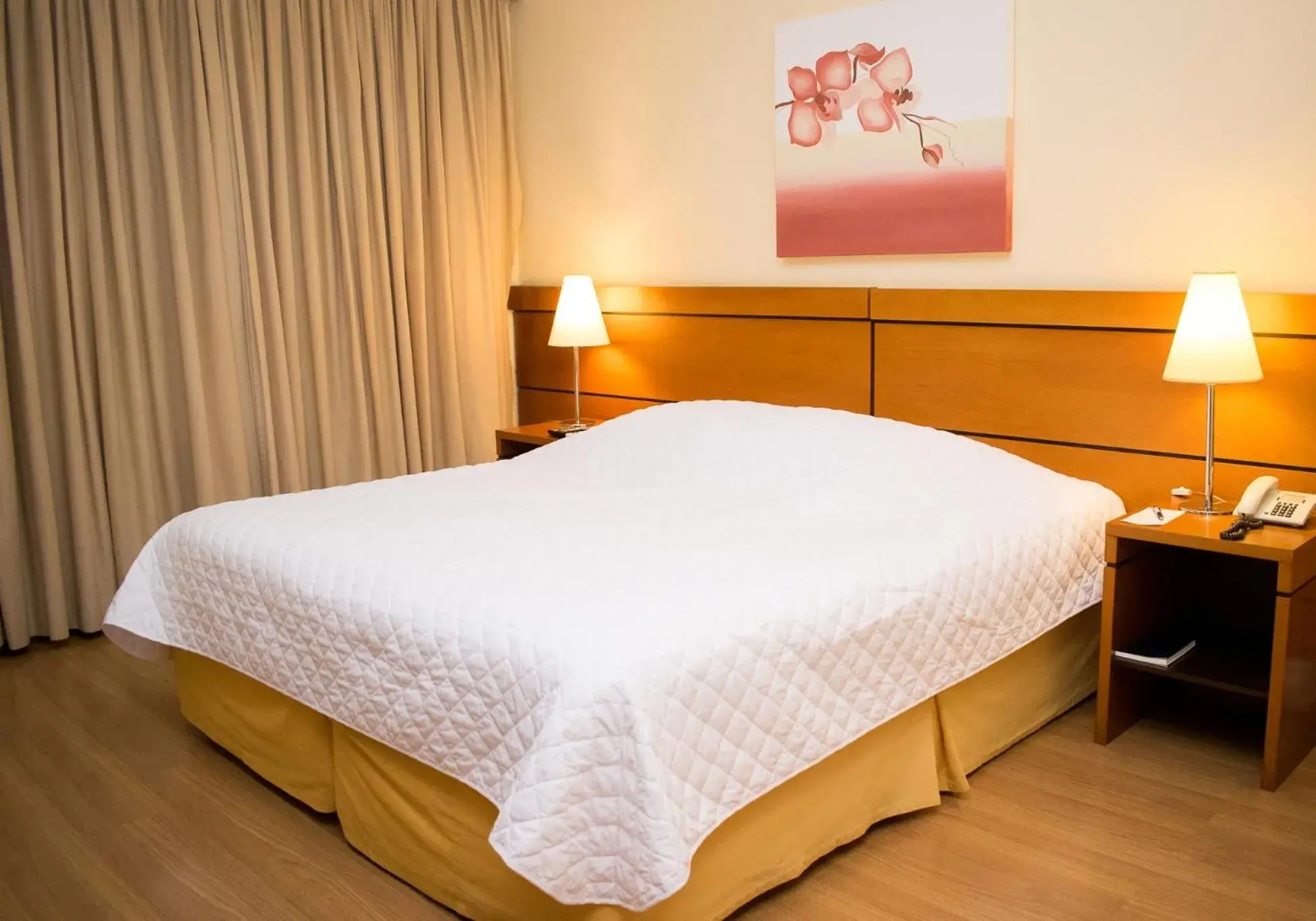 Deluxe Double Room in Hotel Jacques Georges Business Deluxe Double Room in Hotel Jacques Georges Business