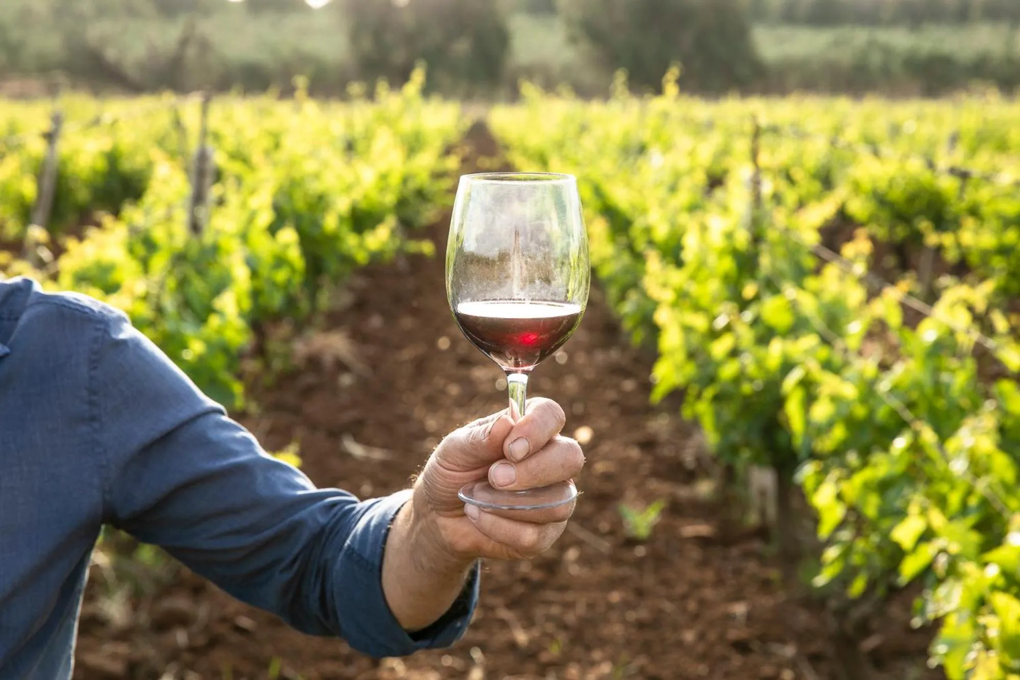 Masseria Baroni Nuovi