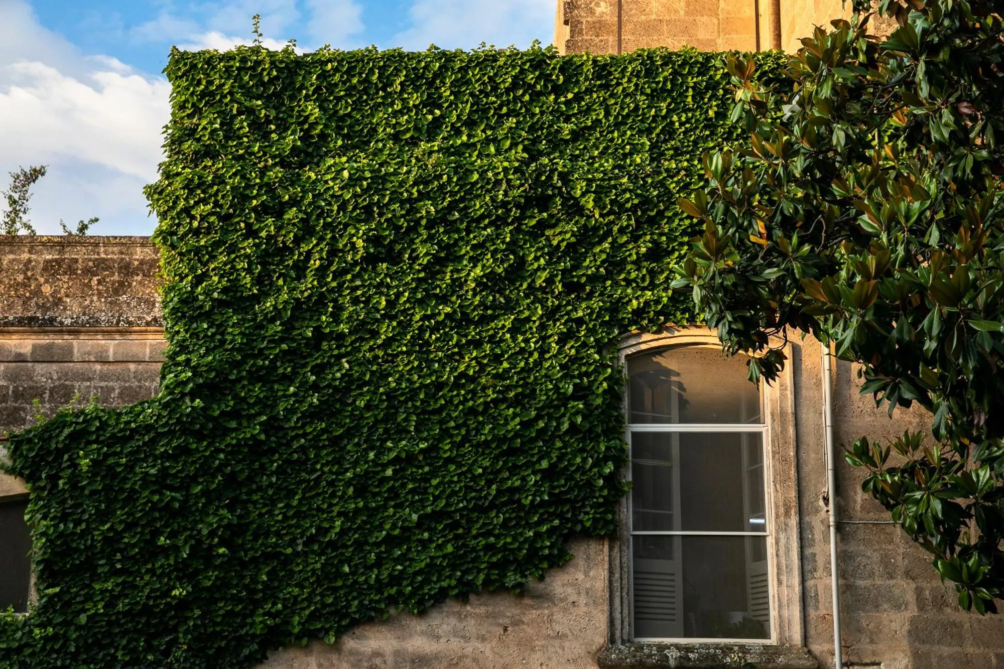 Masseria Baroni Nuovi