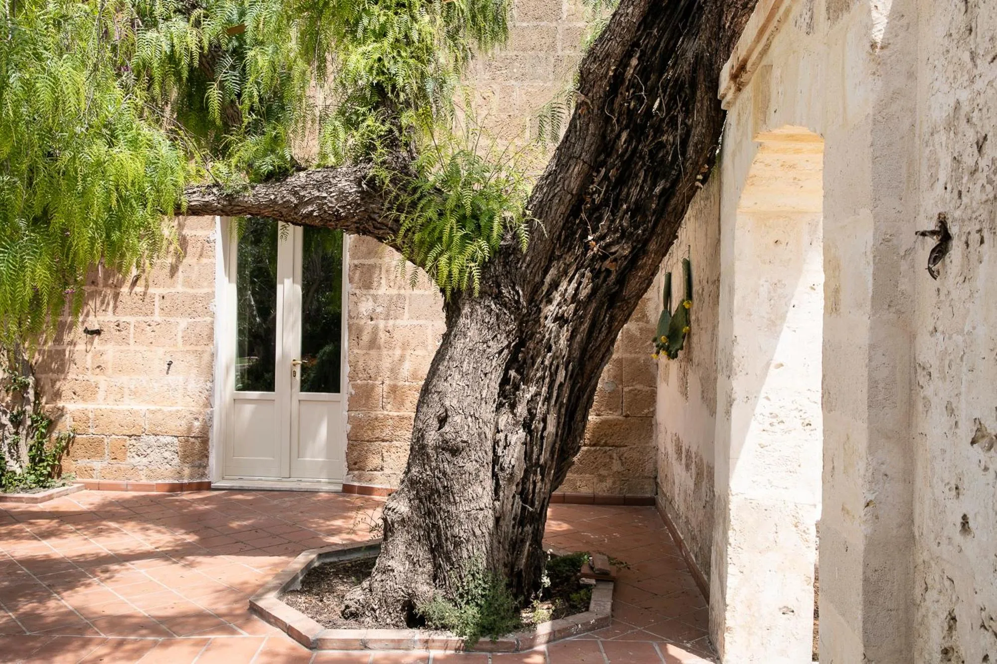 Masseria Baroni Nuovi