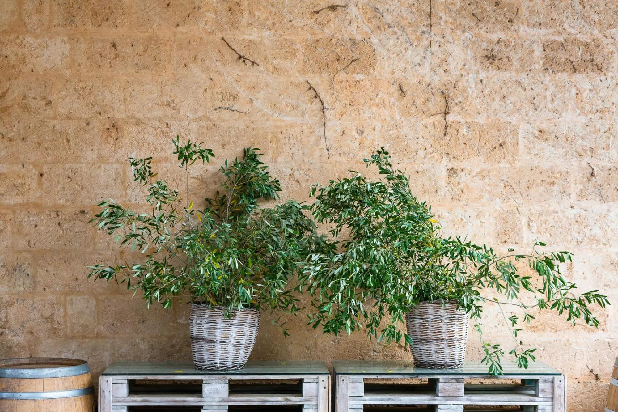 Masseria Baroni Nuovi