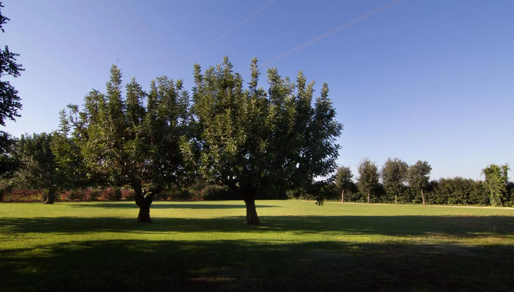 Area and facilities in Masseria Baroni Nuovi