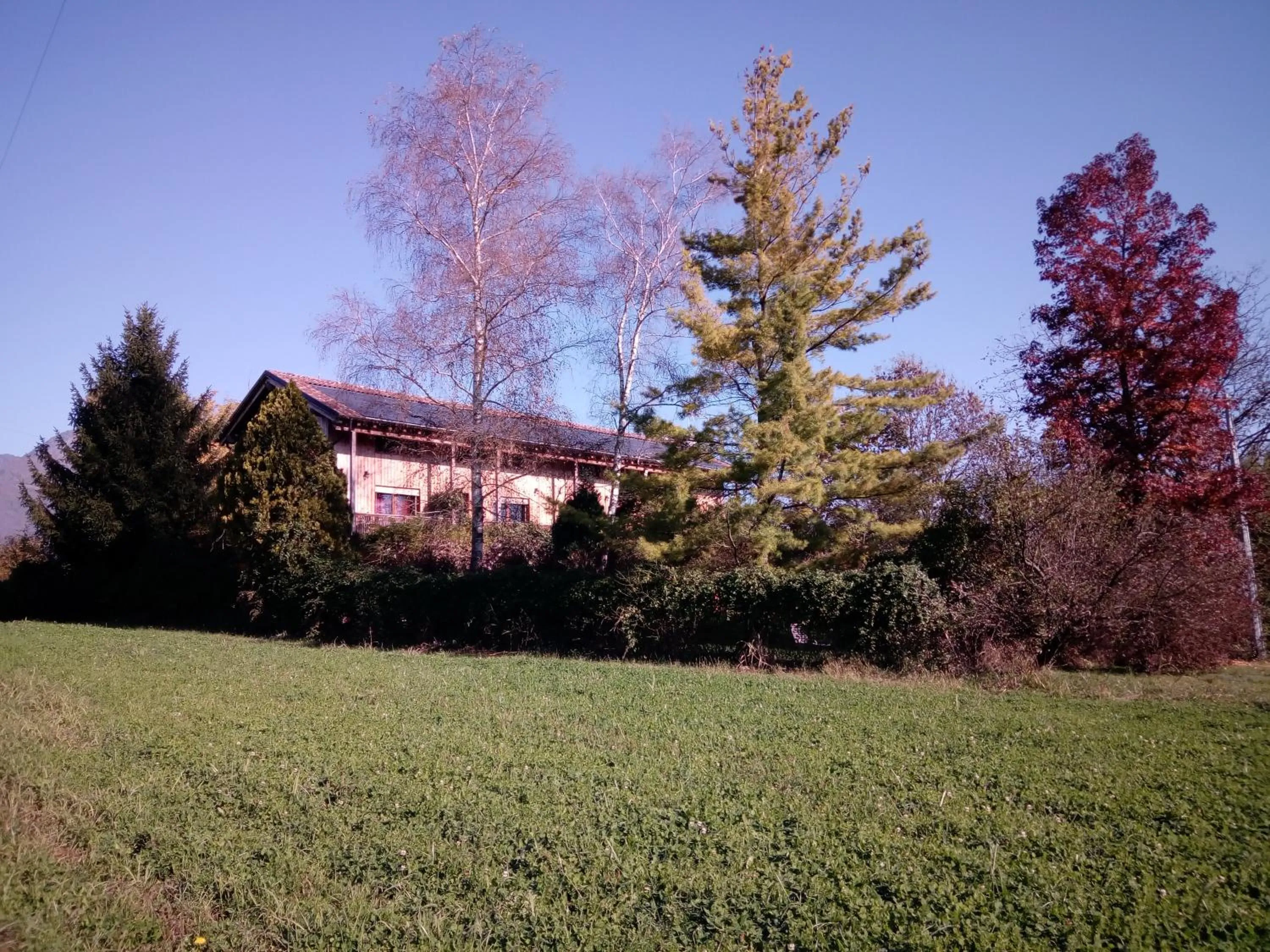 View (from property/room) in BioAgriturismo Vegan Campo di Cielo