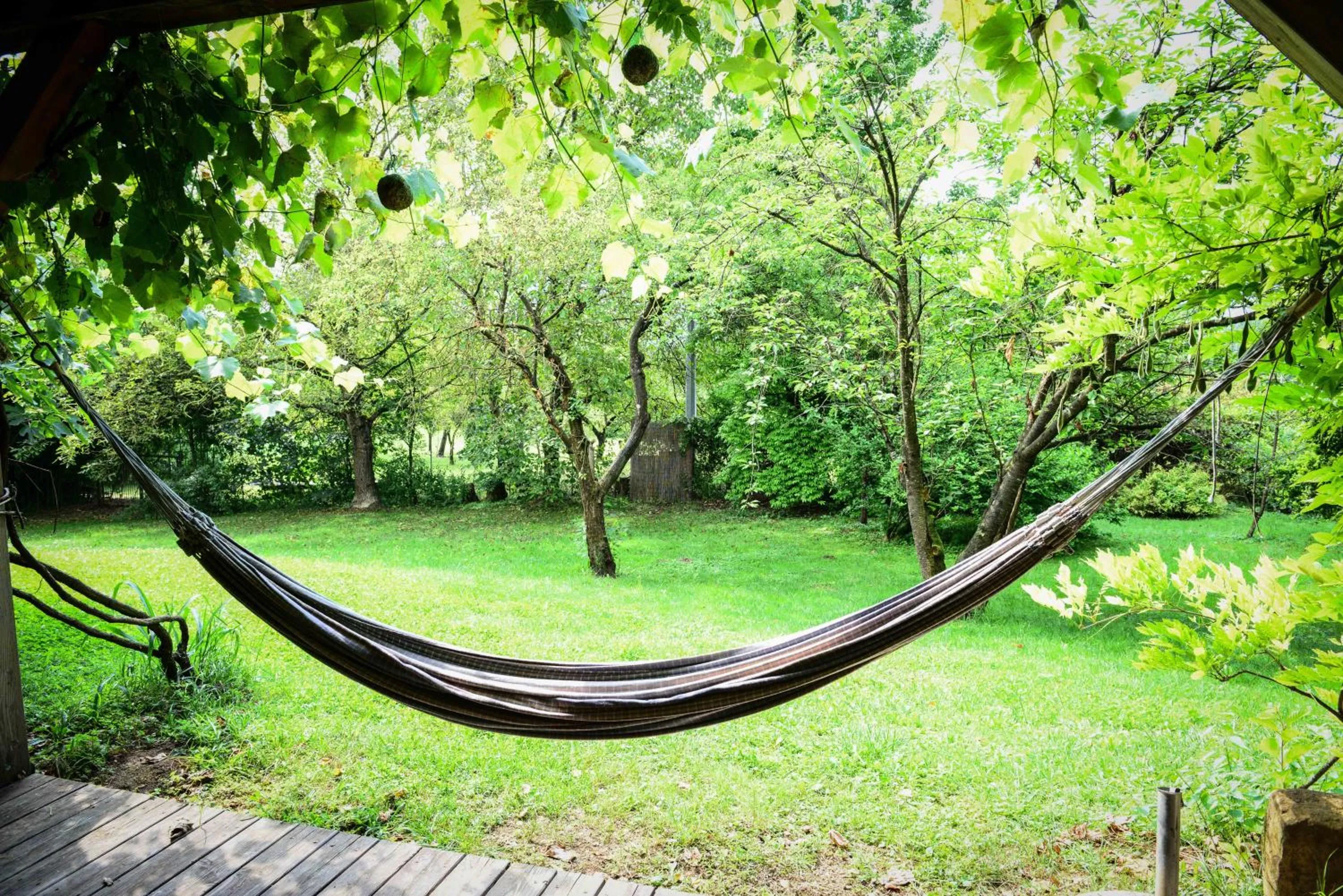 BioAgriturismo Vegan Campo di Cielo