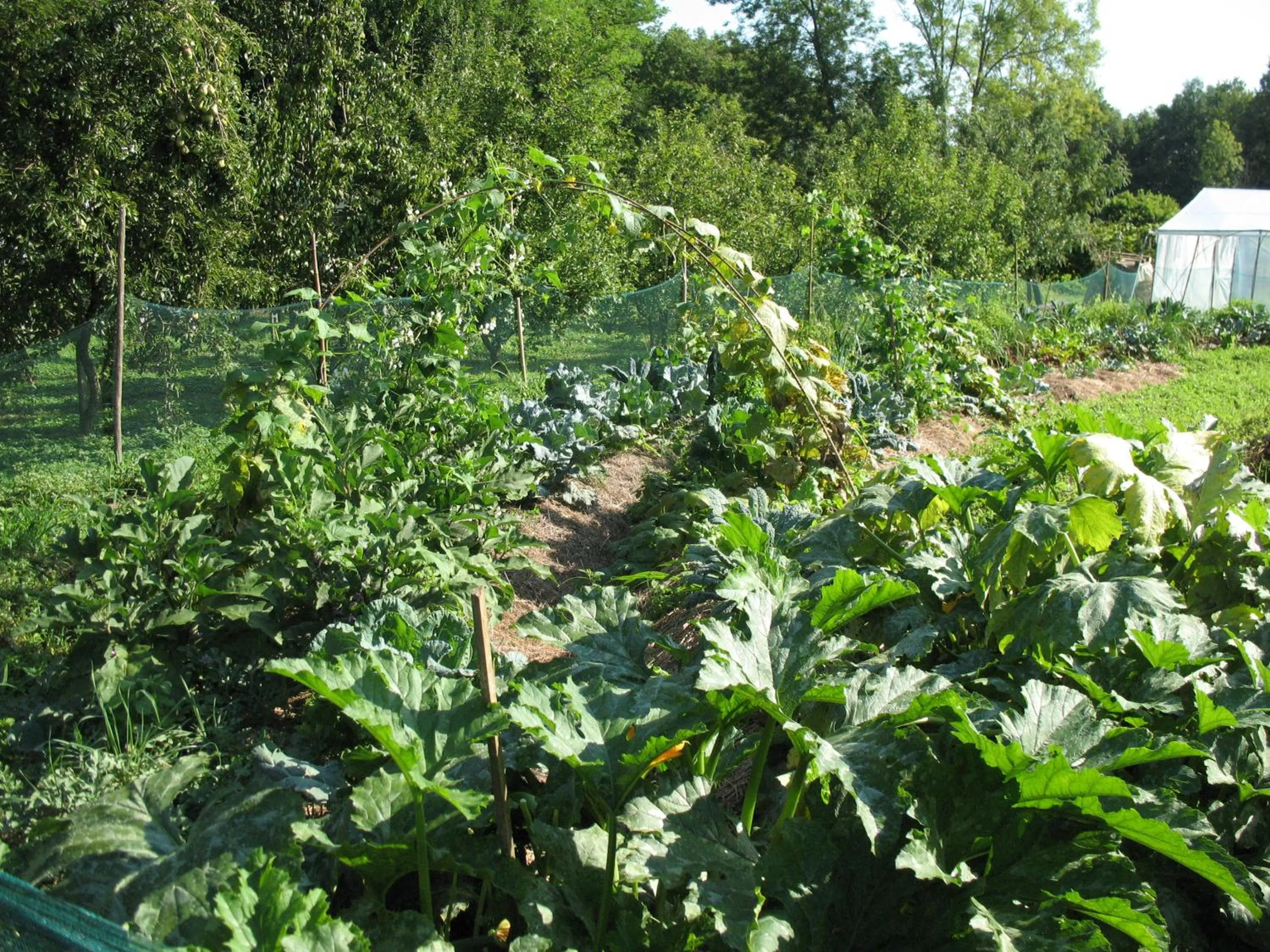 Other in BioAgriturismo Vegan Campo di Cielo