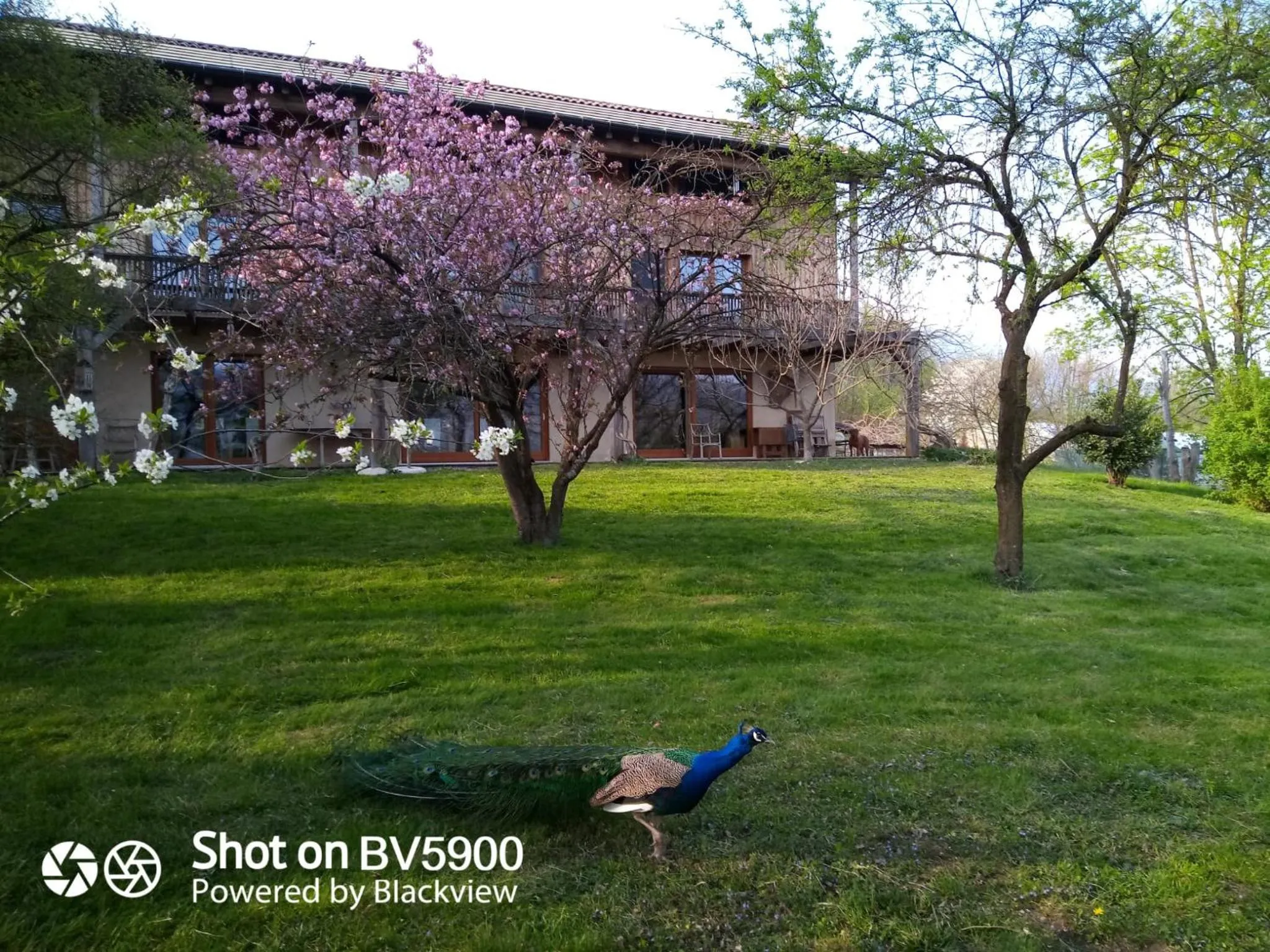BioAgriturismo Vegan Campo di Cielo