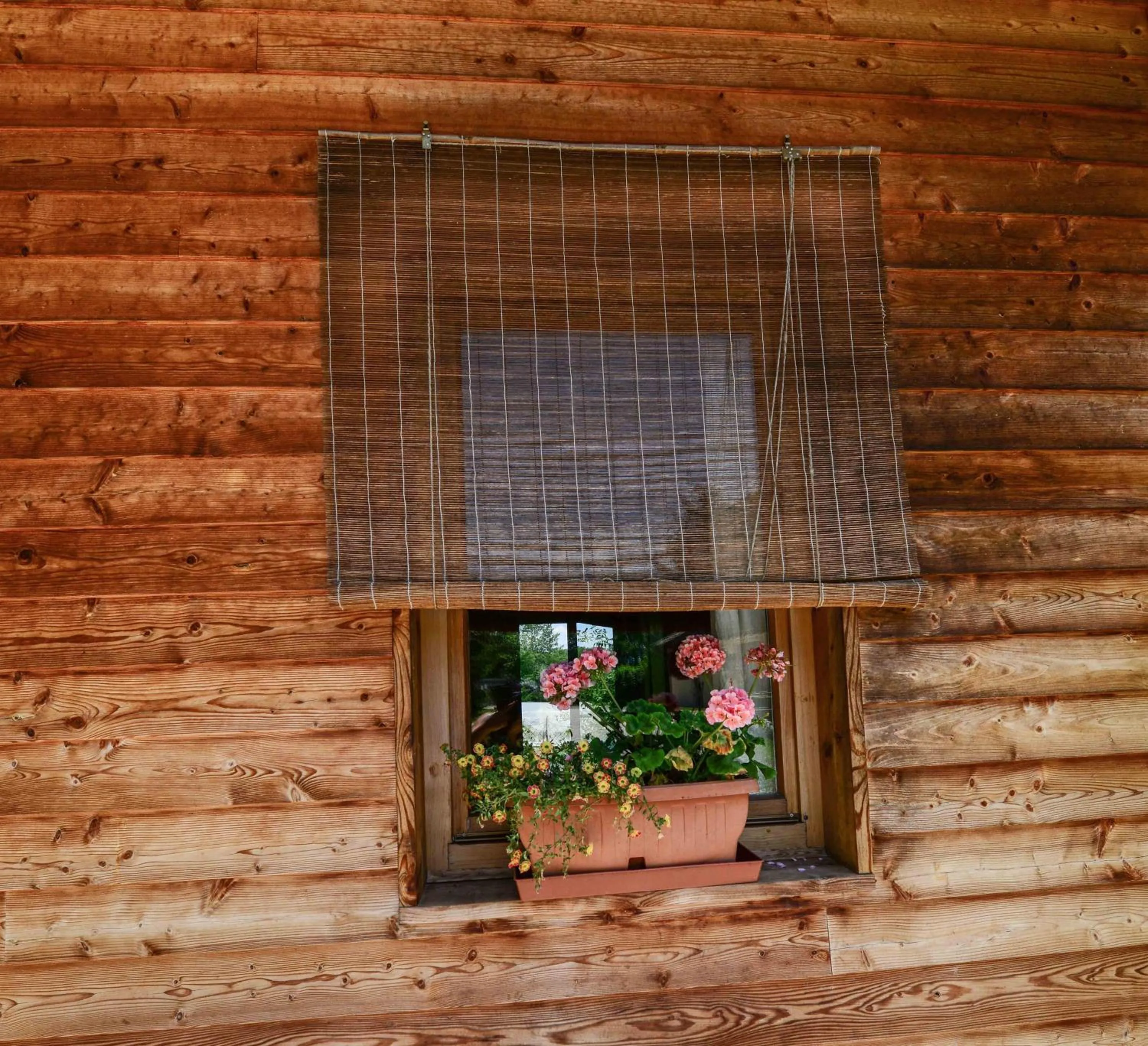 BioAgriturismo Vegan Campo di Cielo