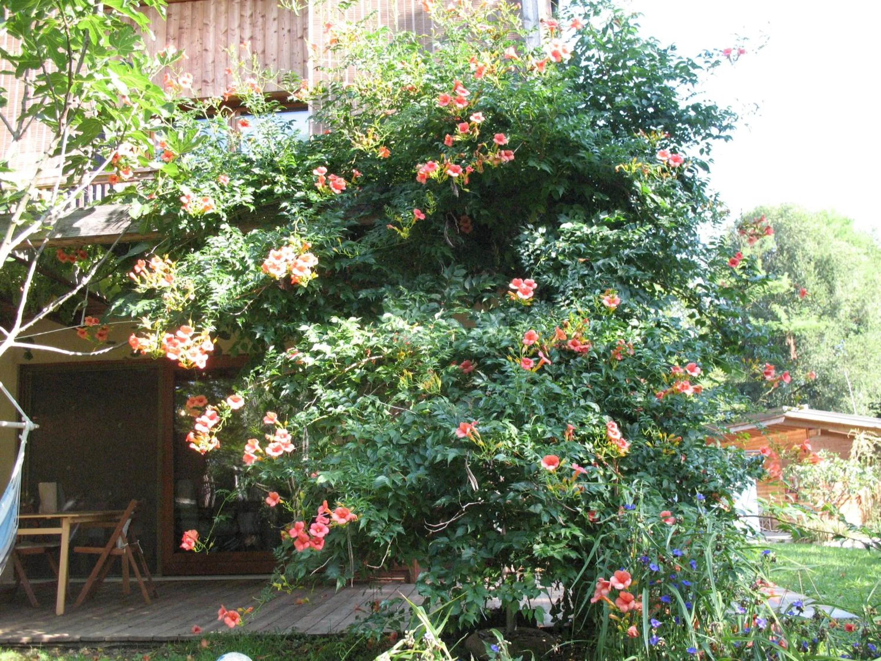 Decorative detail in BioAgriturismo Vegan Campo di Cielo