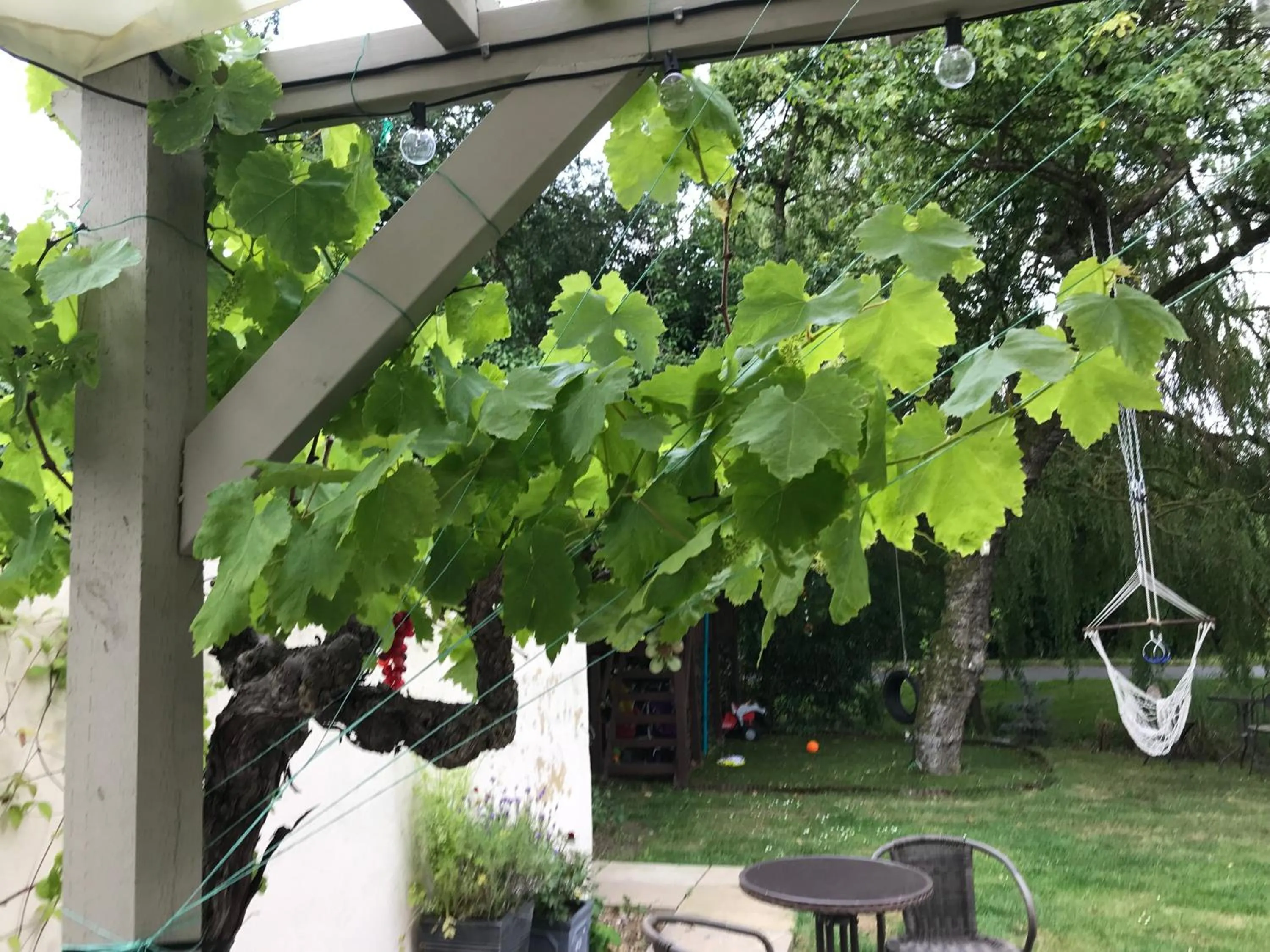 Property building in Old Thatch Bambers Green