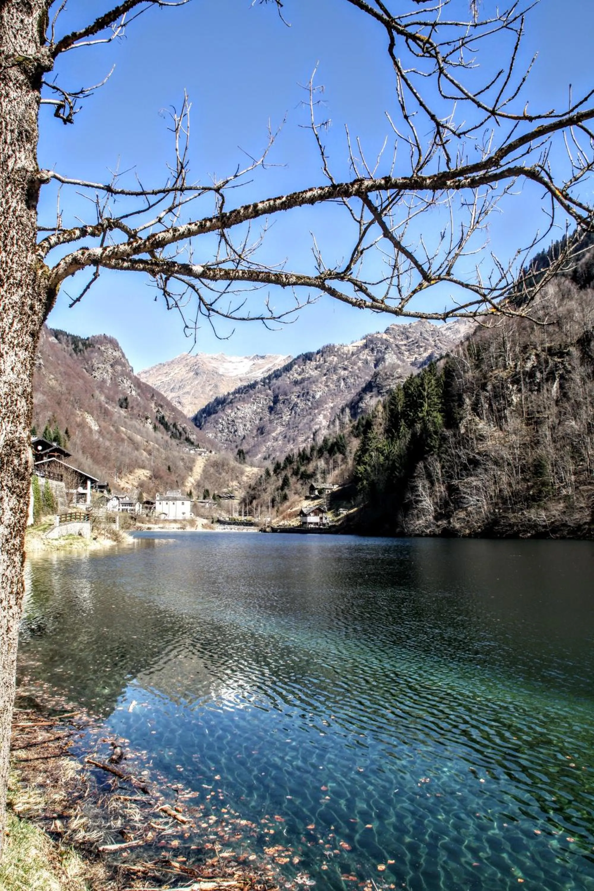 Spring in Casa Rimasco