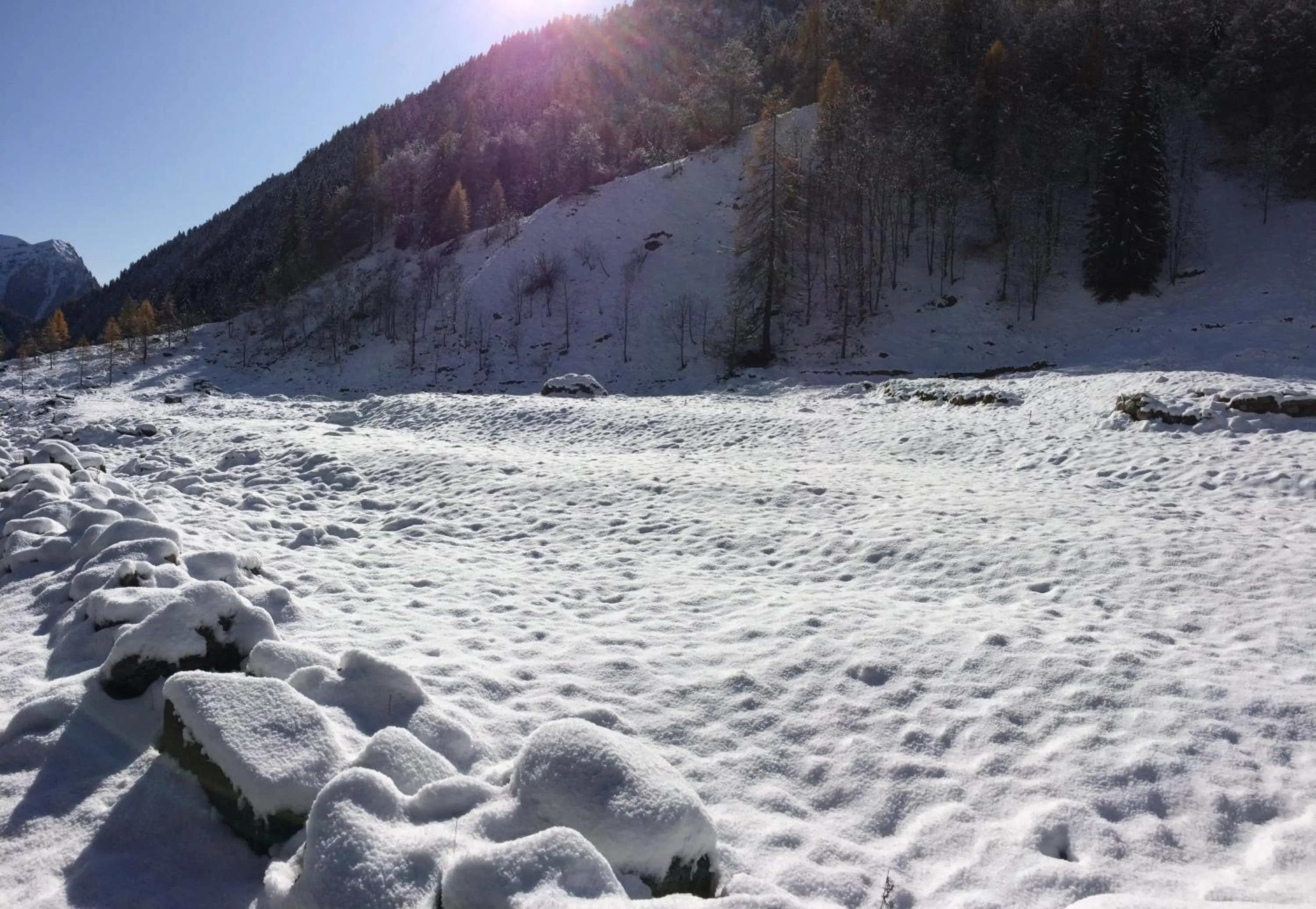 Natural landscape in Casa Rimasco
