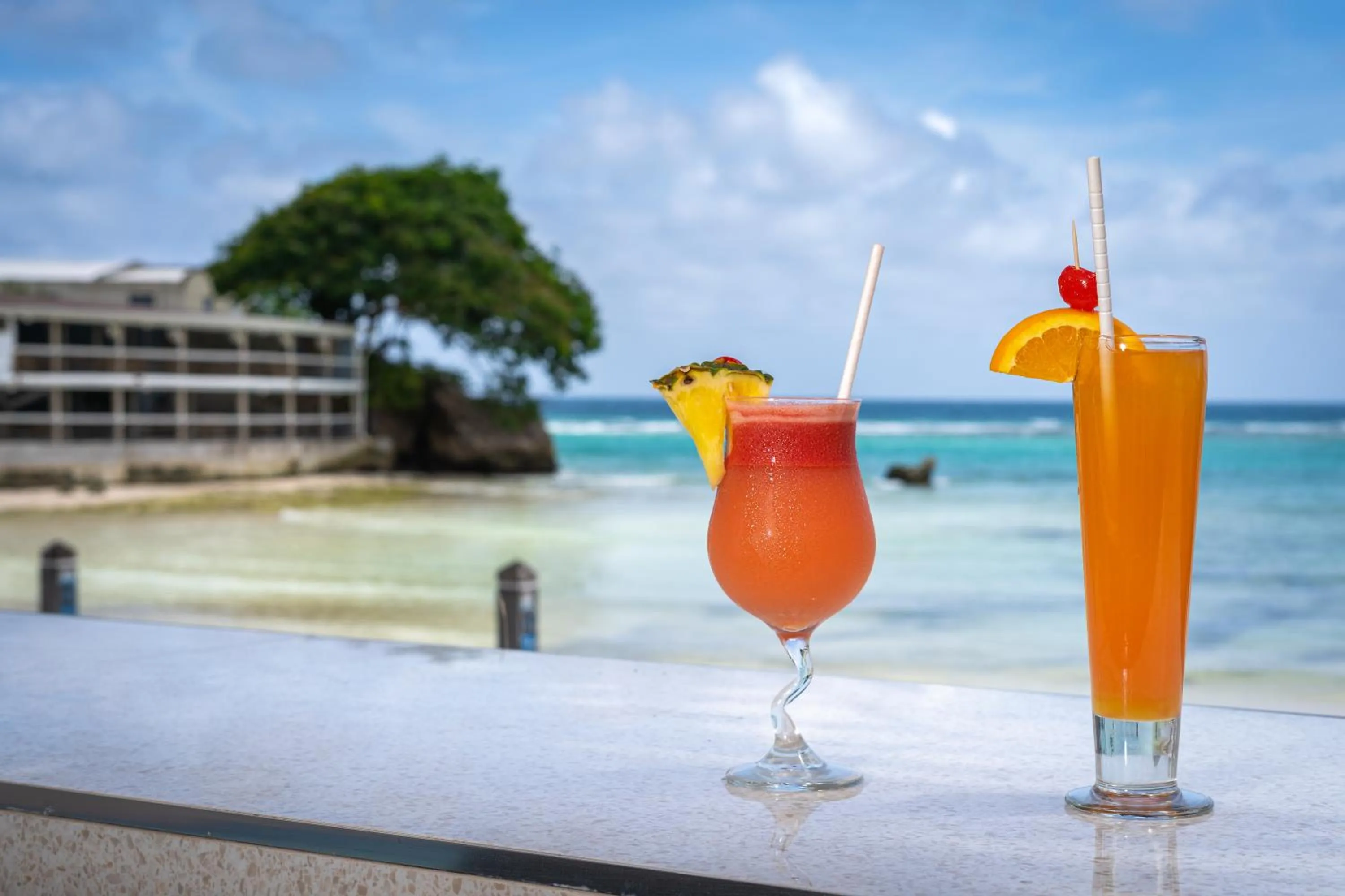 Alcoholic drinks in Yellow Bird Hotel