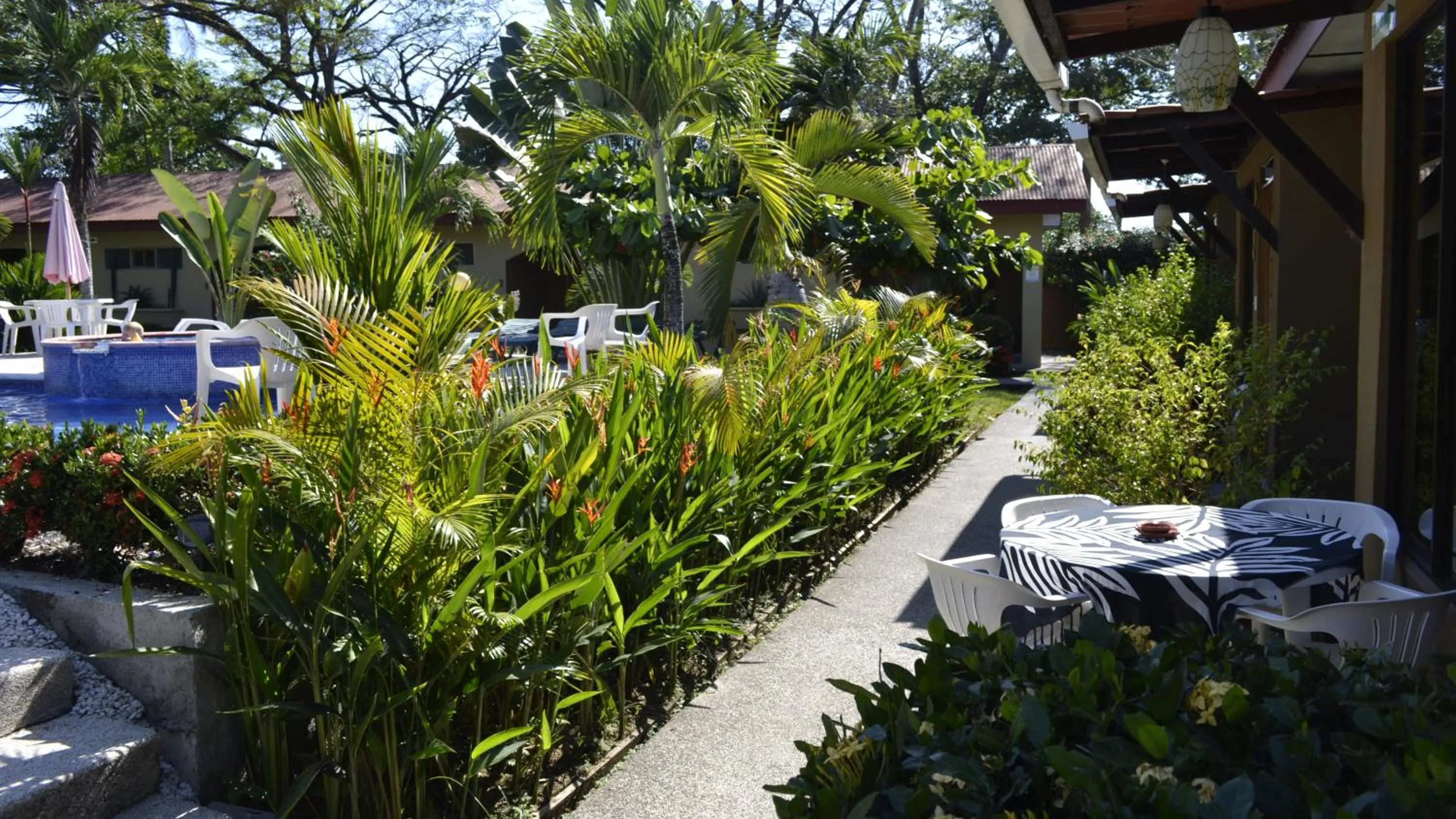 Garden in Villa Creole