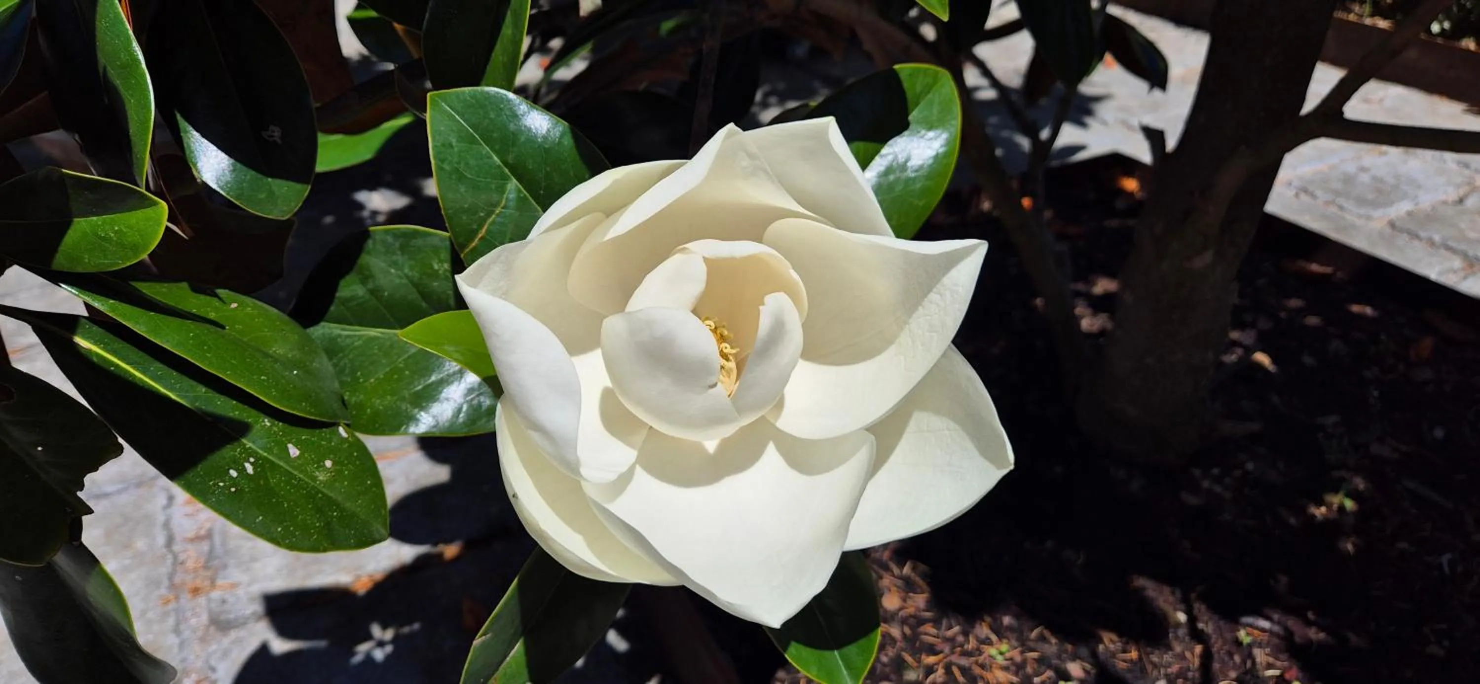 Chambres d'hôtes Le Clos Bleu