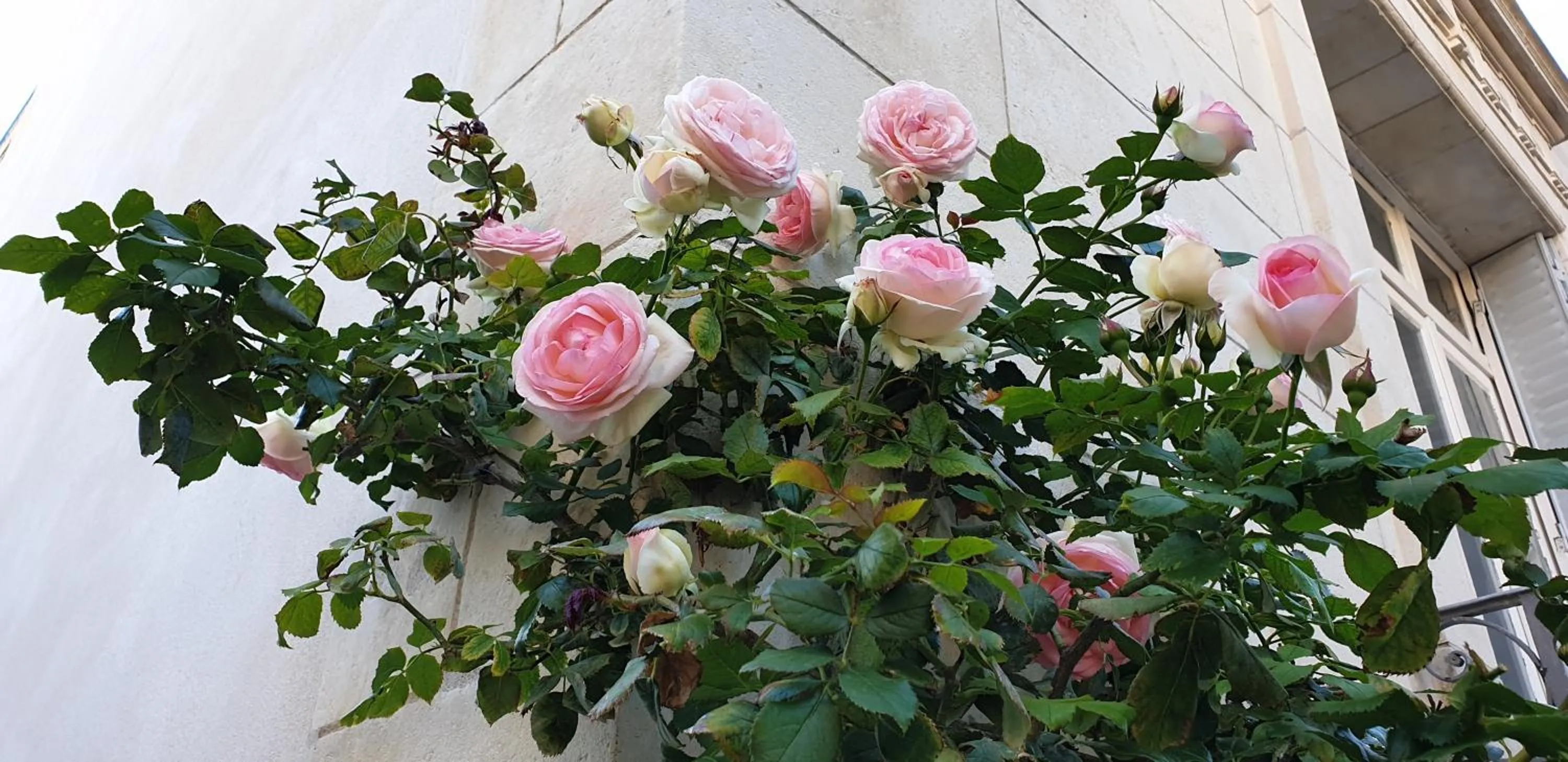 Chambres d'hôtes Le Clos Bleu