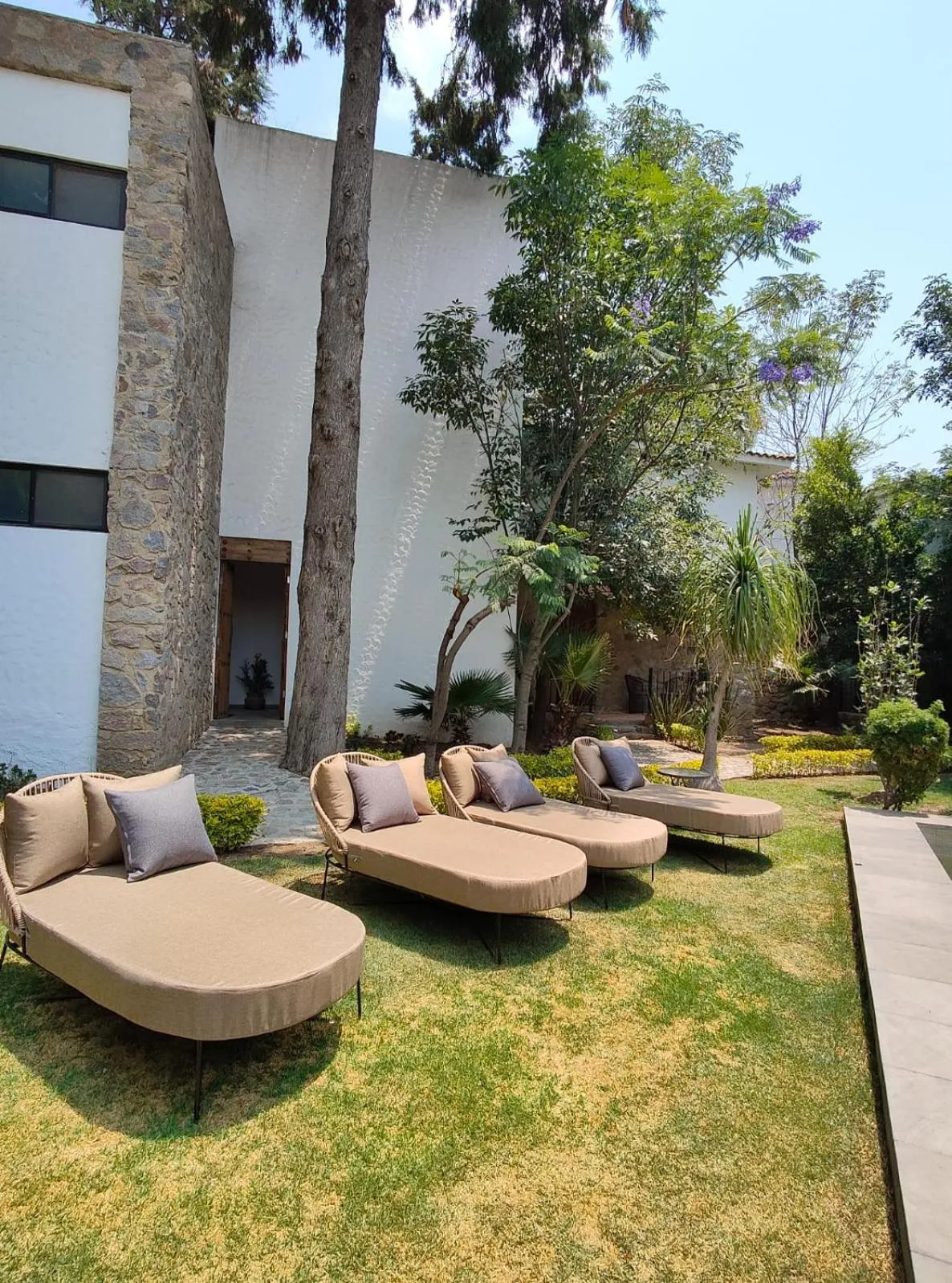 Garden in Hotel Boutique Camino Del Bosque