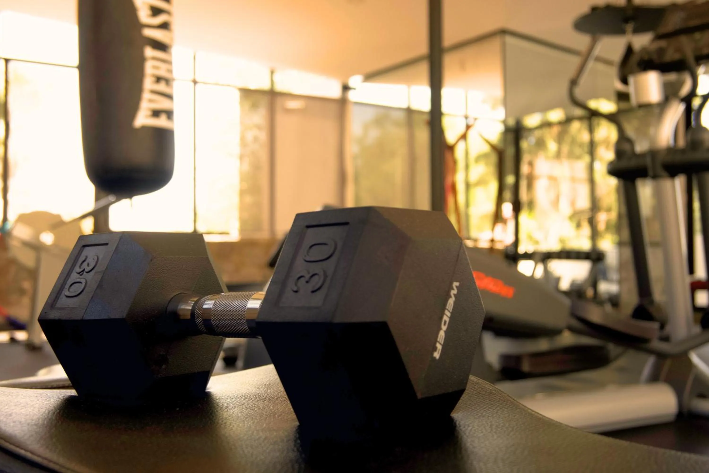 Fitness centre/facilities in Hotel Boutique Camino Del Bosque