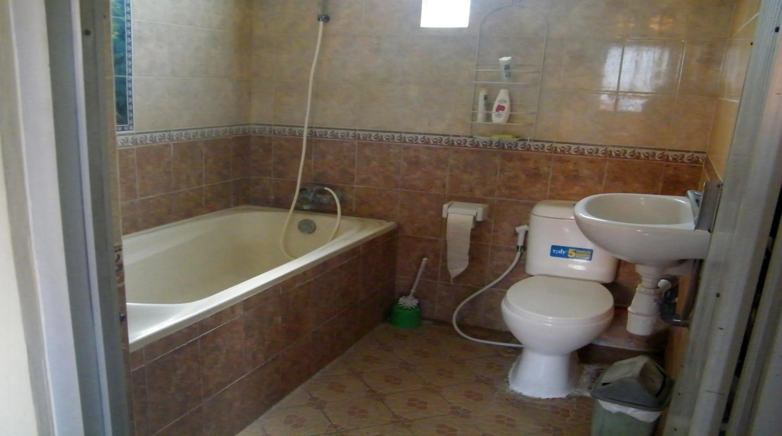 Shower in The Reinhold Guesthouse Bali