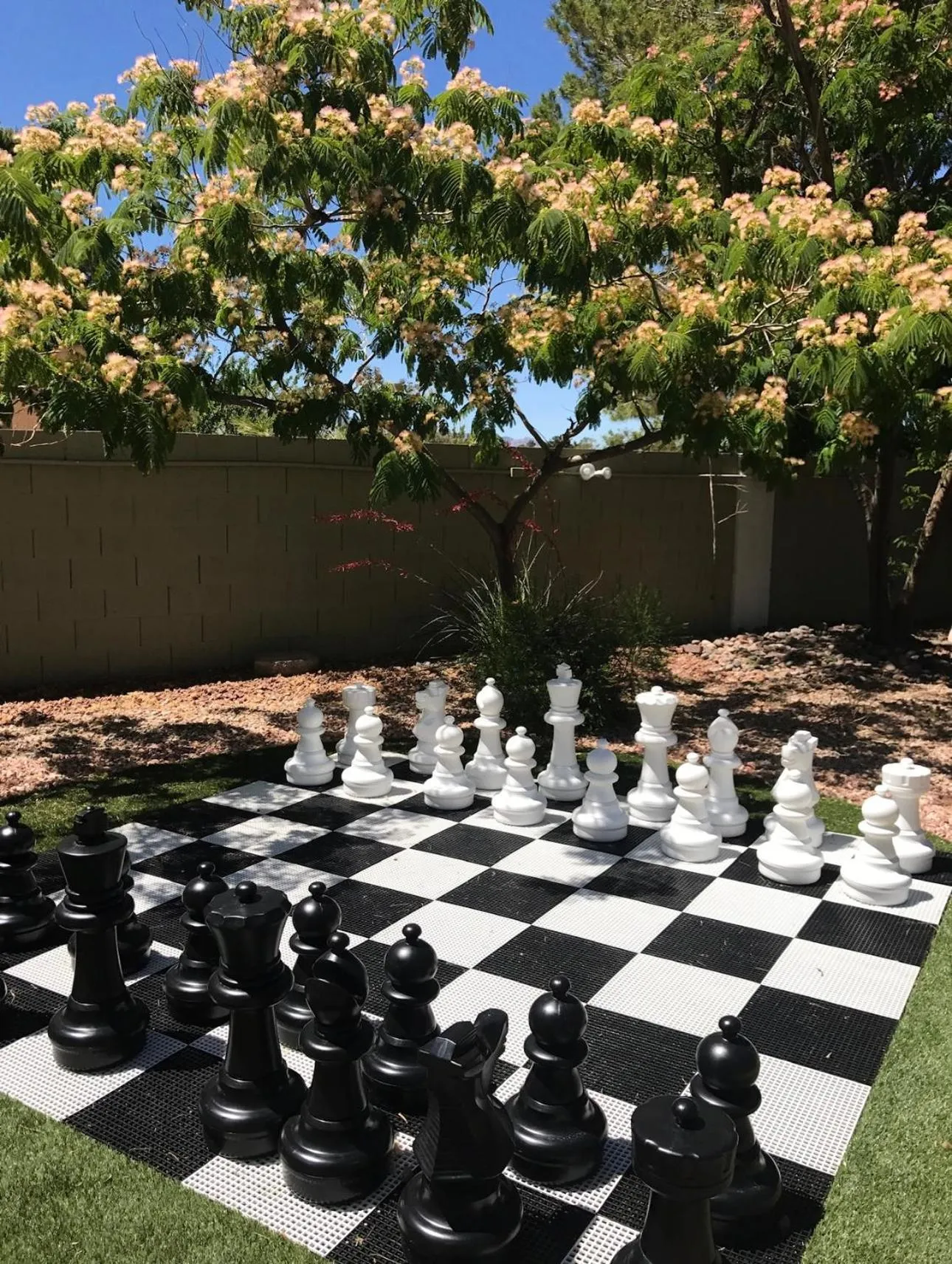 Garden view in The Buddha Estate