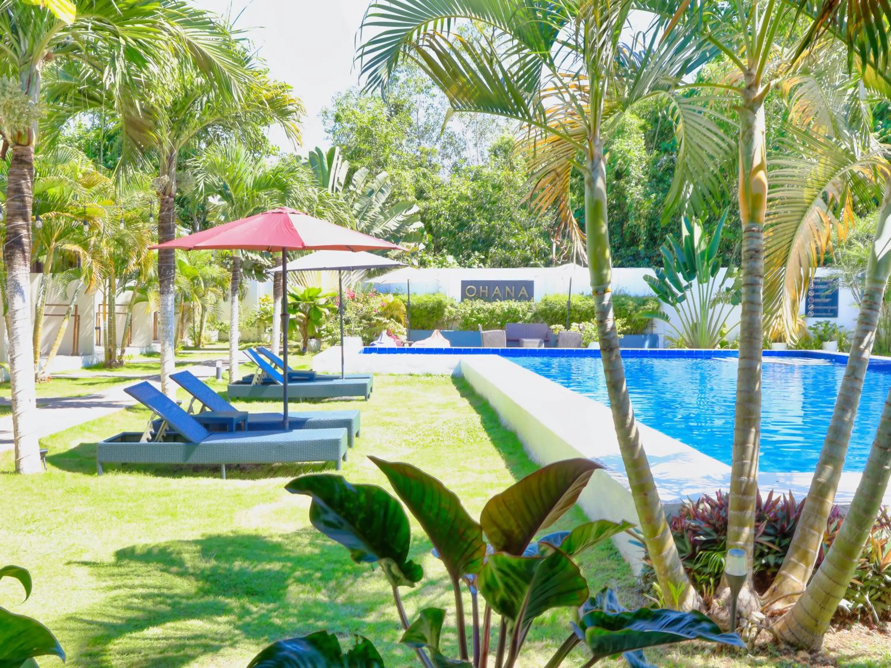 Garden in OHANA, Panglao Resort.