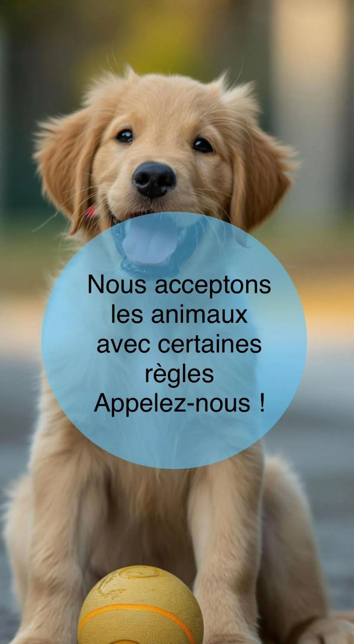 Le Sacca Hôtel restaurant