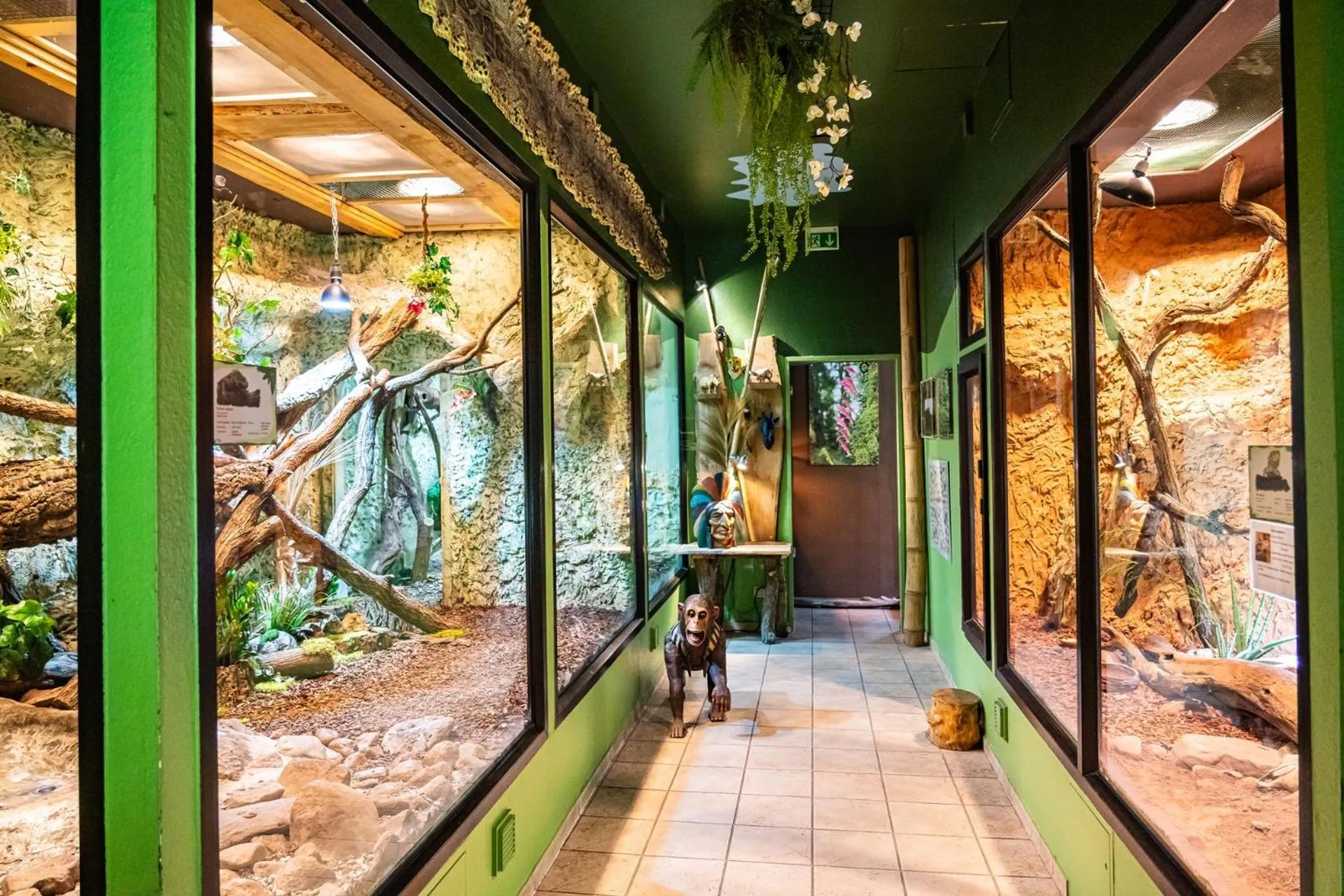 Activities in Aparthotel Tropenhaus Bansin