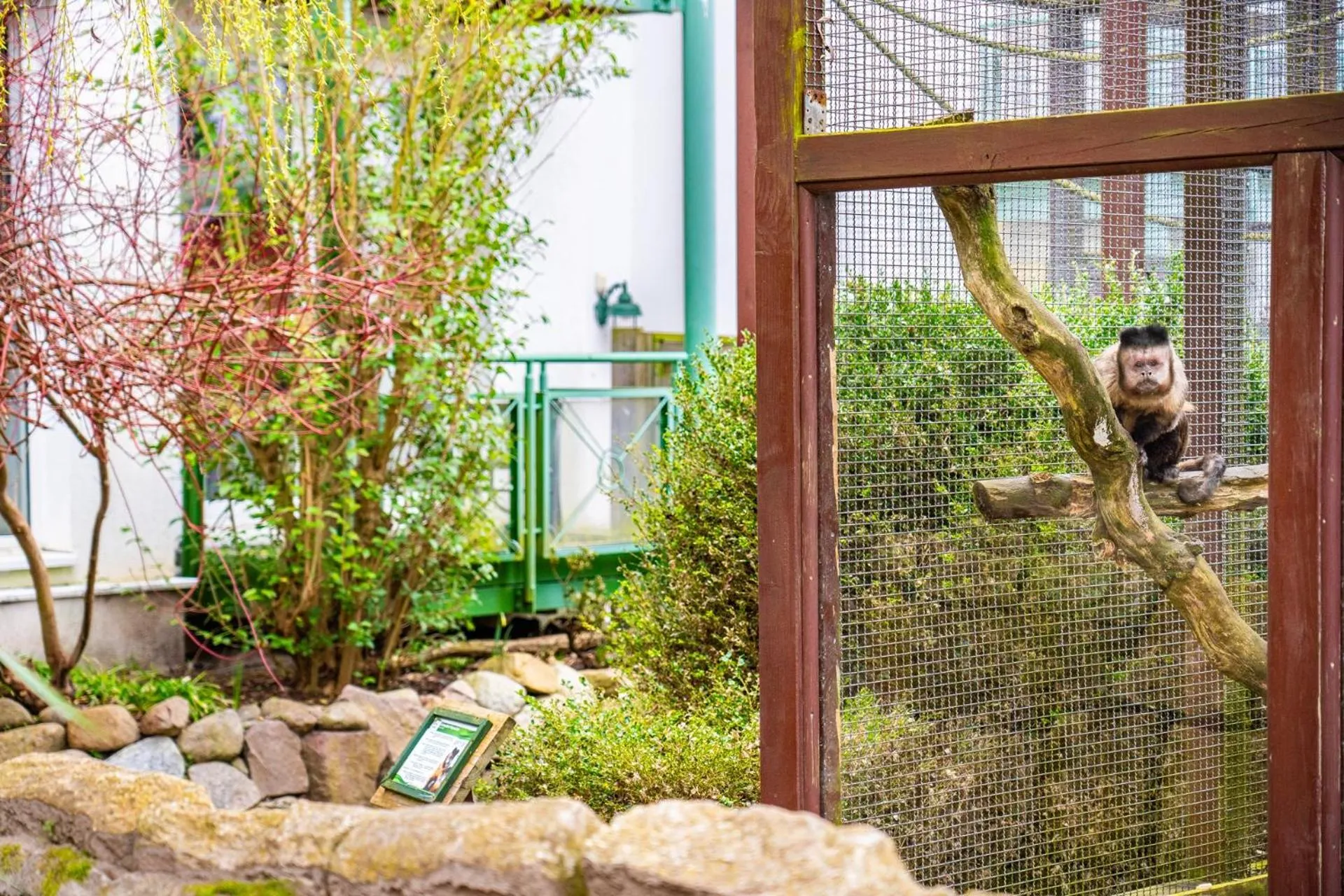 Activities in Aparthotel Tropenhaus Bansin