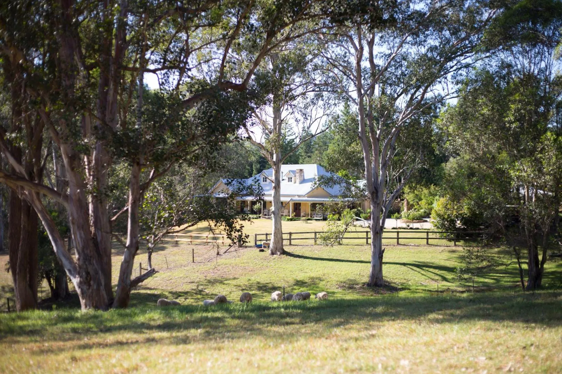 Garden view in The Willows at Kurrajong