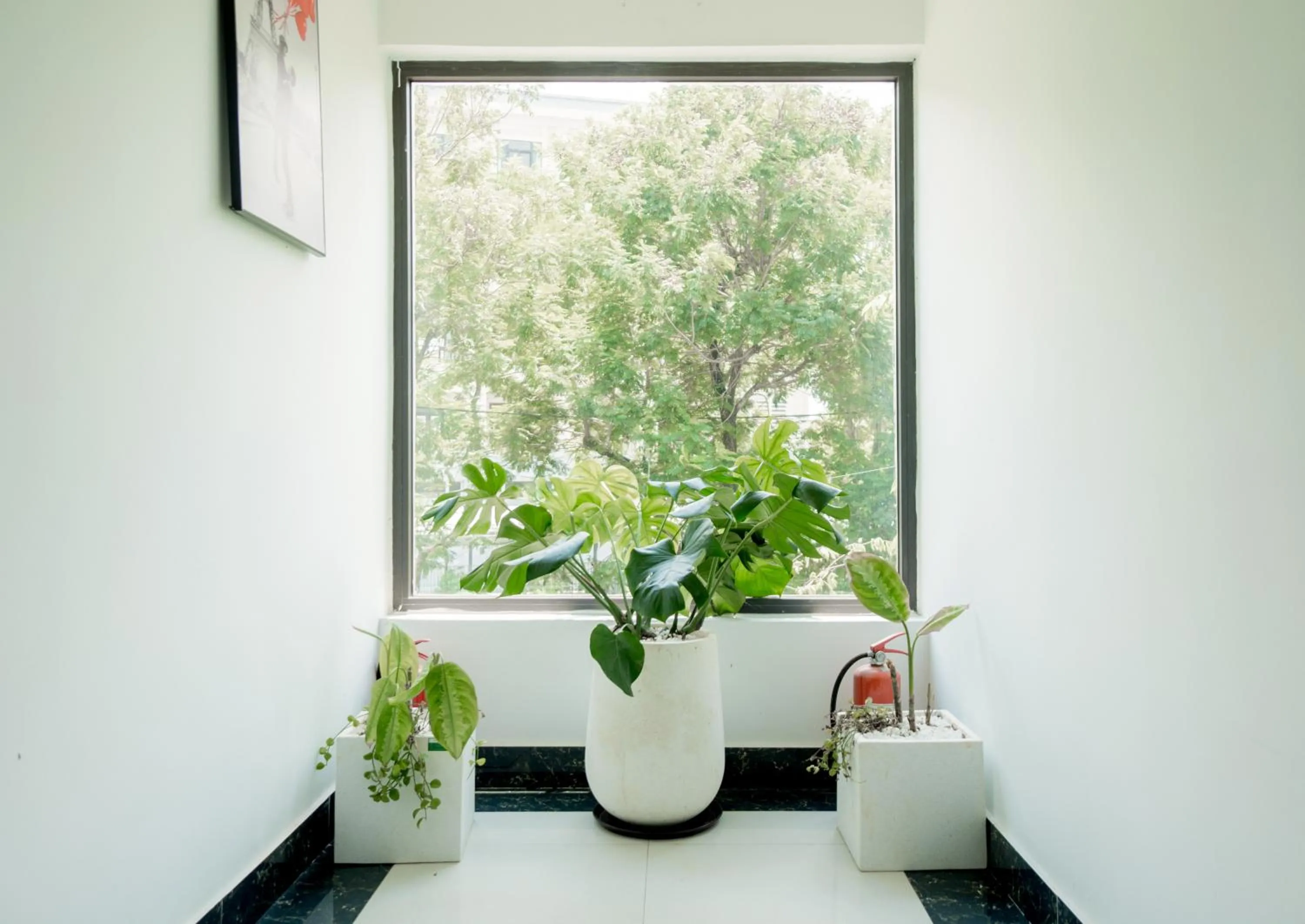 Garden view in Dat Anh Hotel