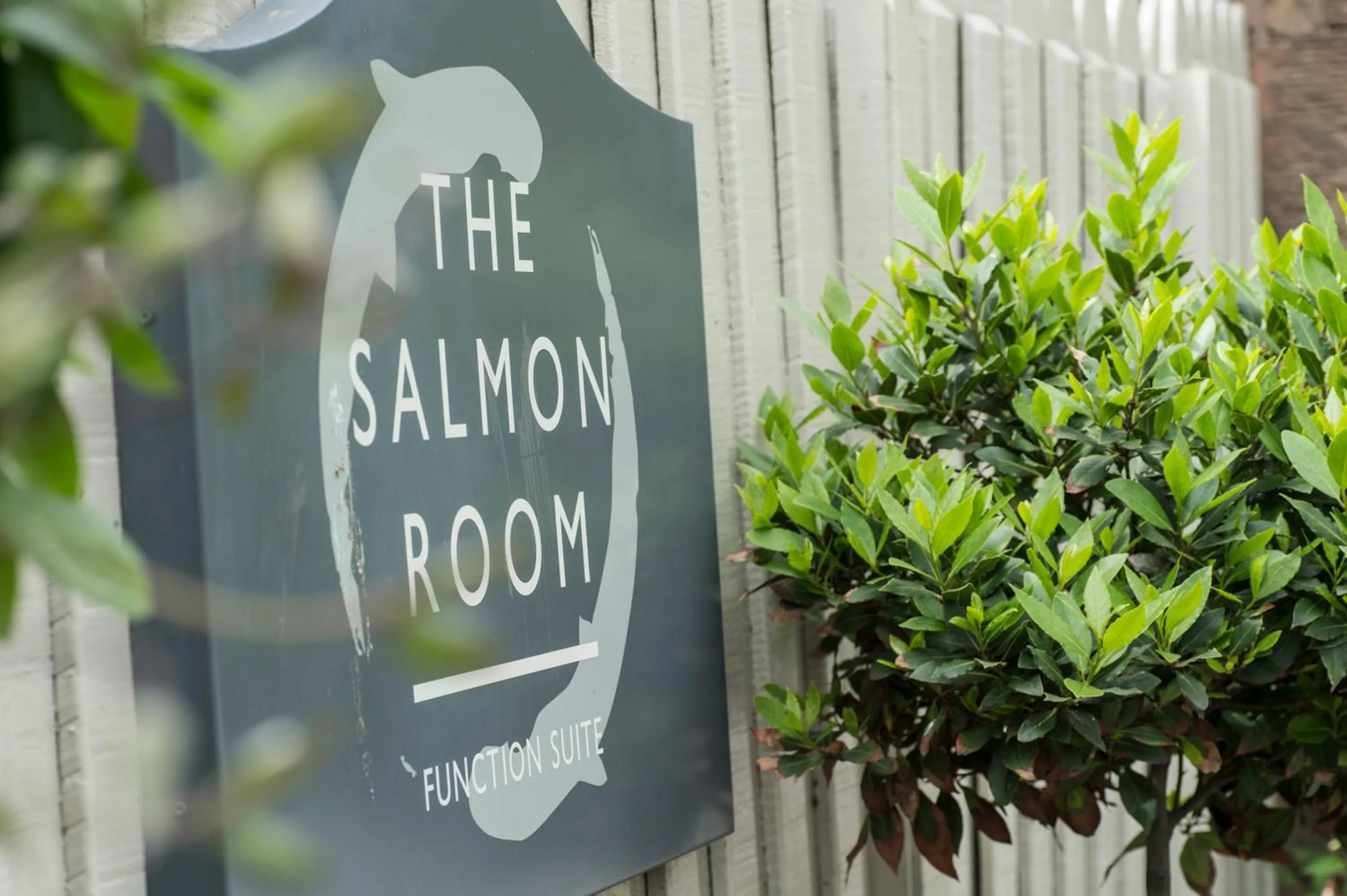 Garden view in Buccleuch Arms