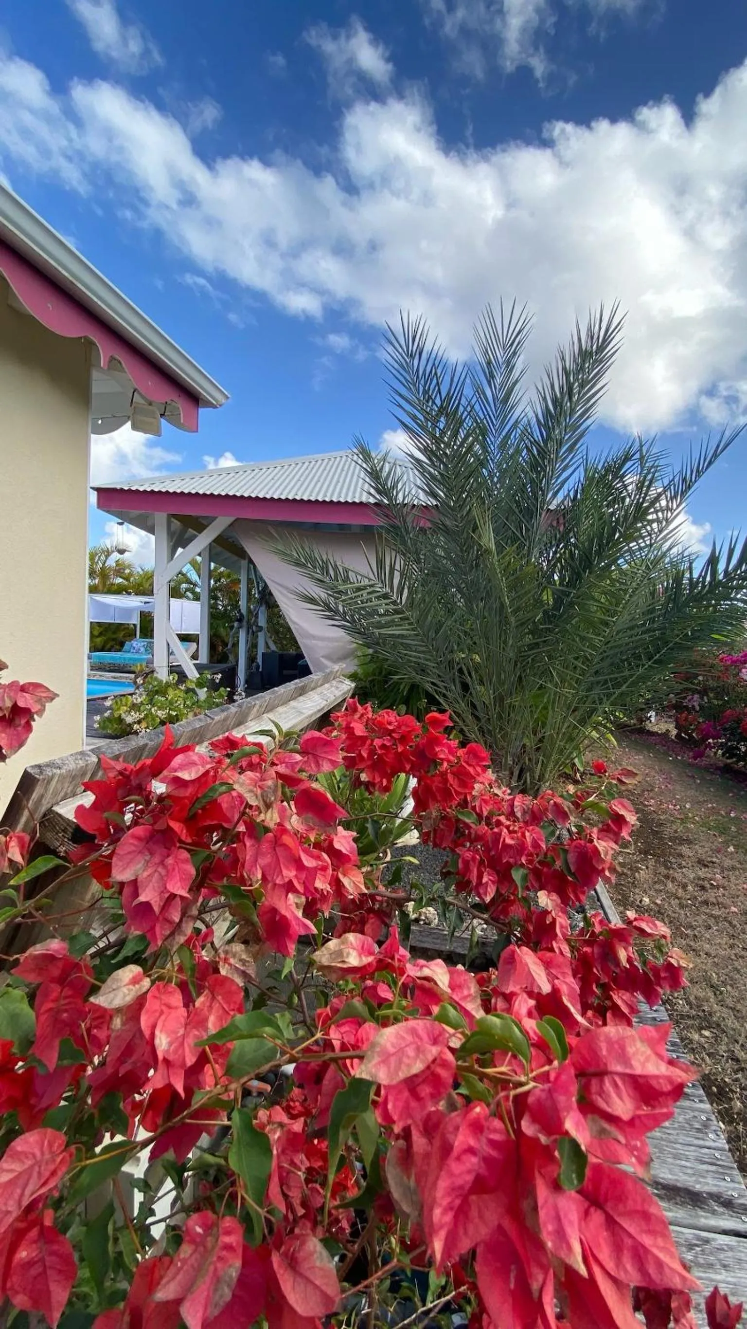 Garden in Au Bel'vue chez Sandrine "Gite & Chambre d'hôtes"
