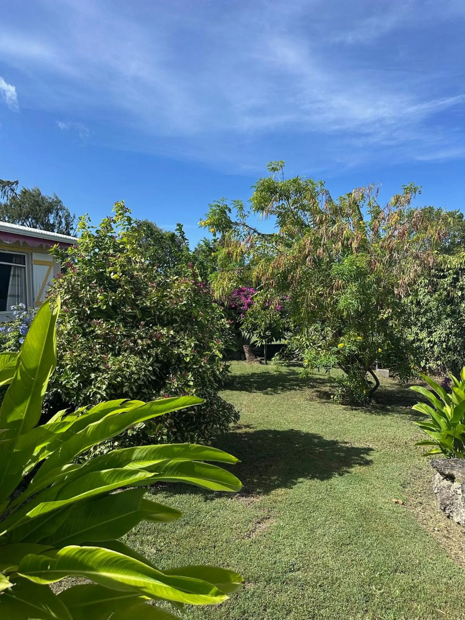 Garden in Au Bel'vue chez Sandrine "Gite & Chambre d'hôtes"