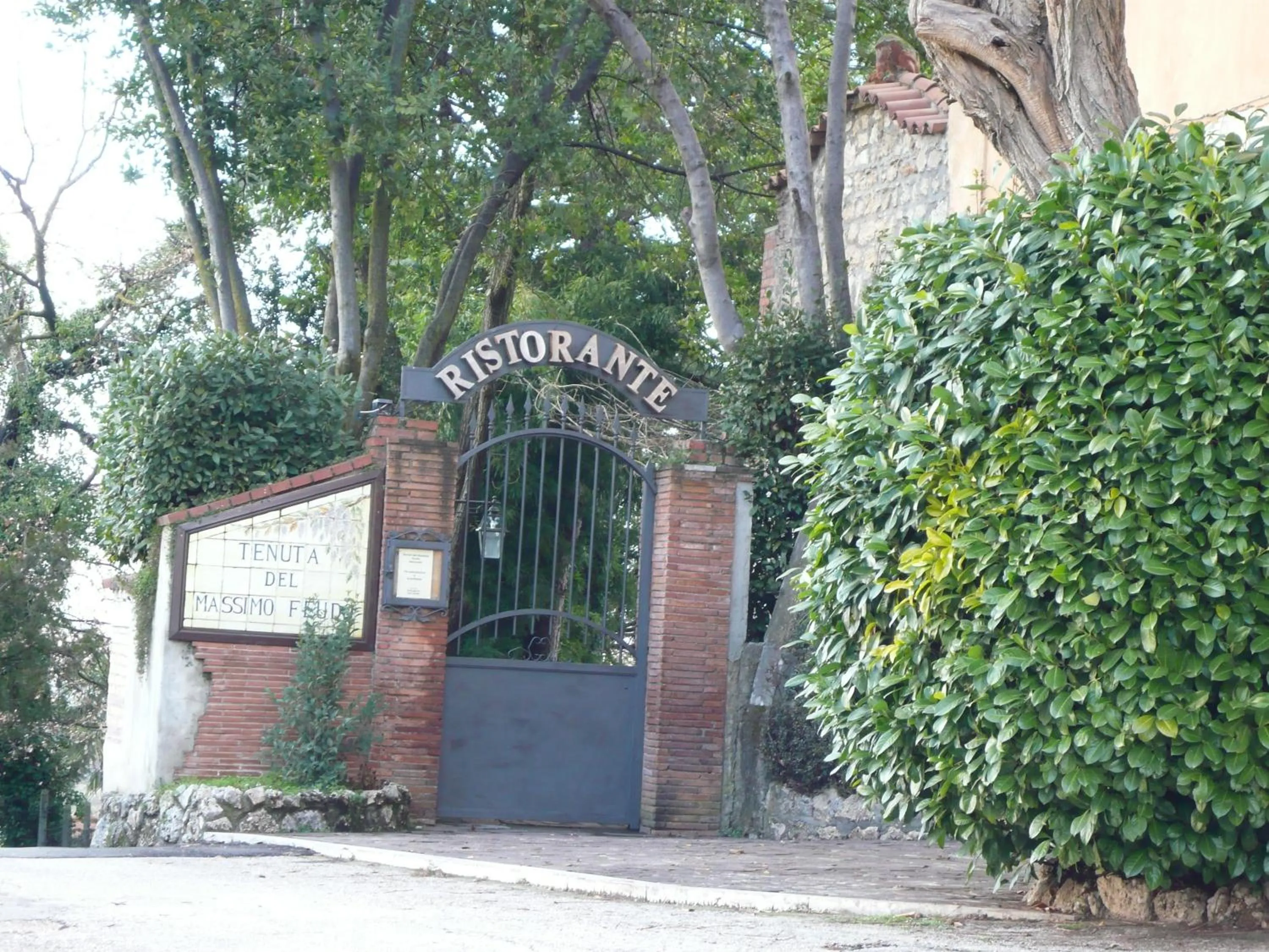 Tenuta Del Massimo Feudo