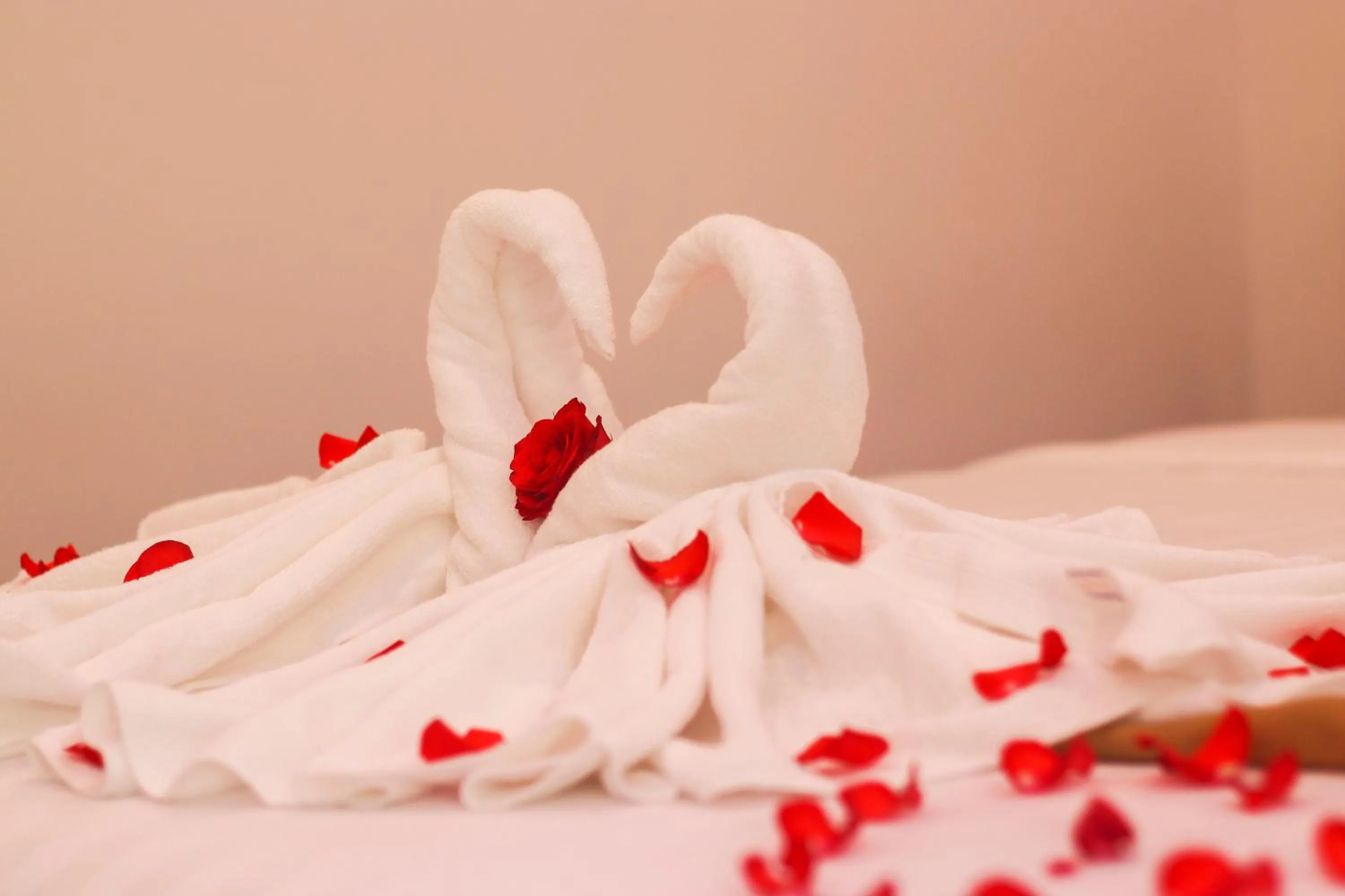 Bed in Bui Family Homestay