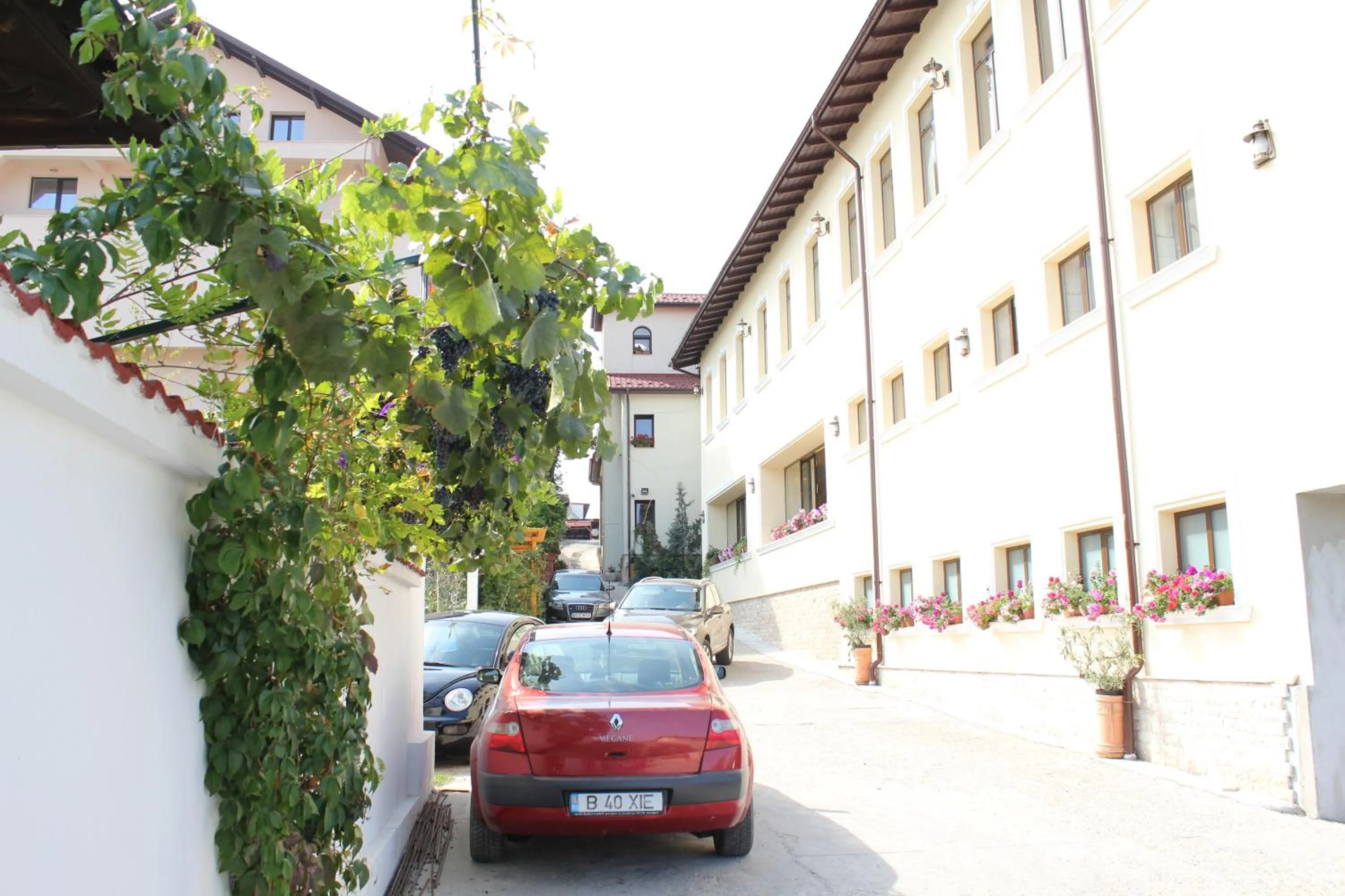 Facade/entrance in Casa Maria Arges