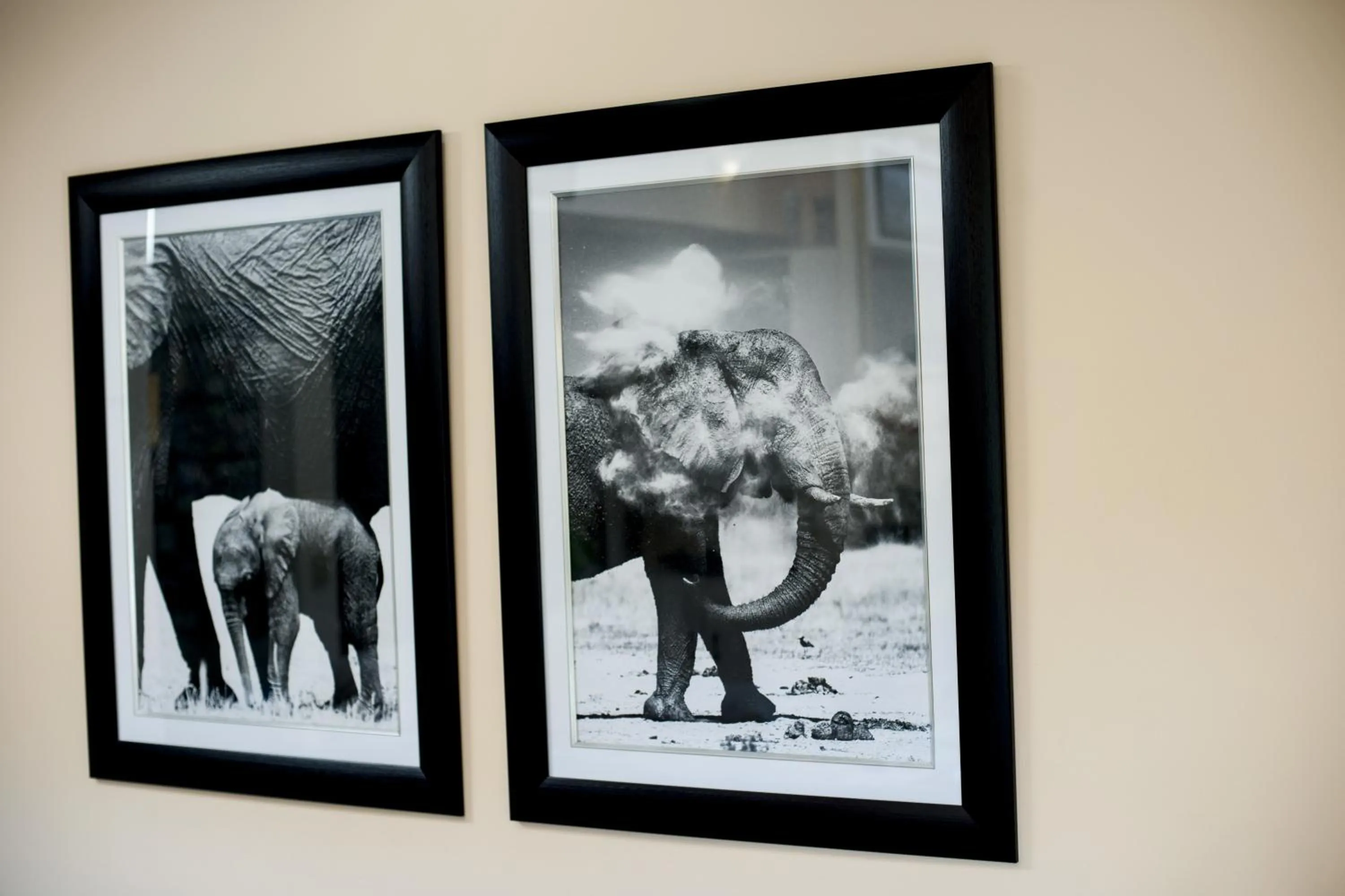 Communal lounge/ TV room in Bayside Lodge Garden Route B&B