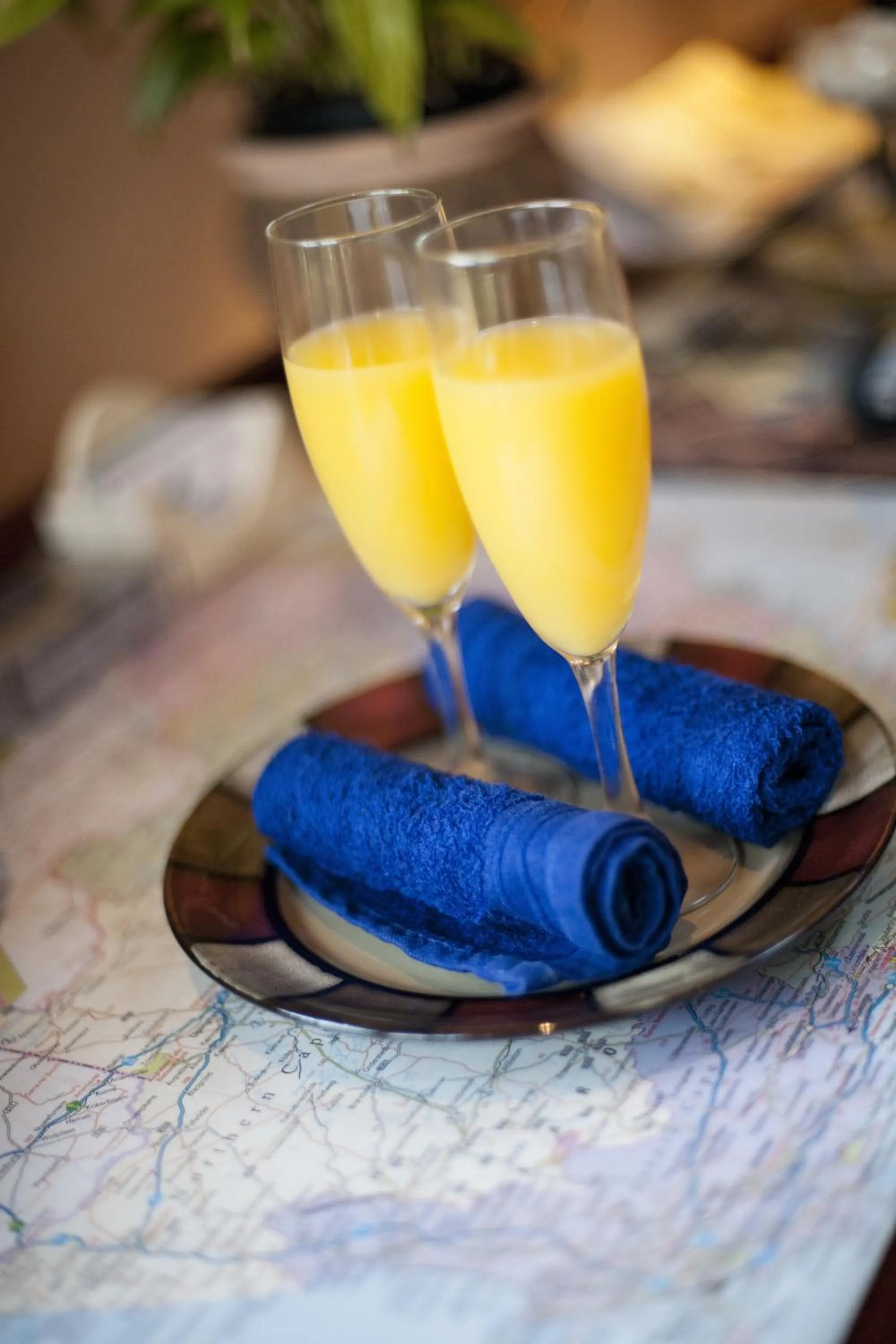 Other in Bayside Lodge Garden Route B&B