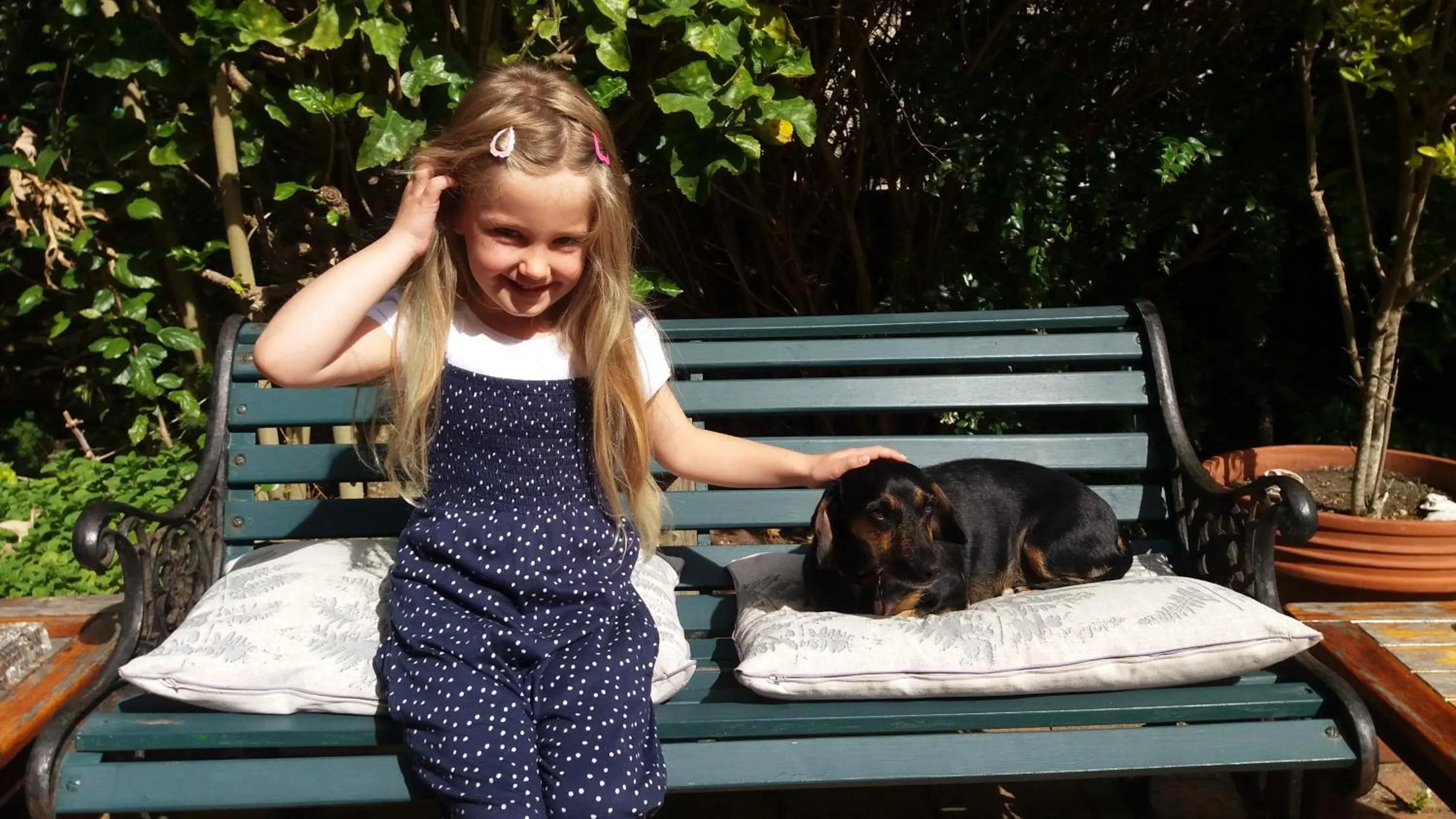 Pets in Bayside Lodge Garden Route B&B