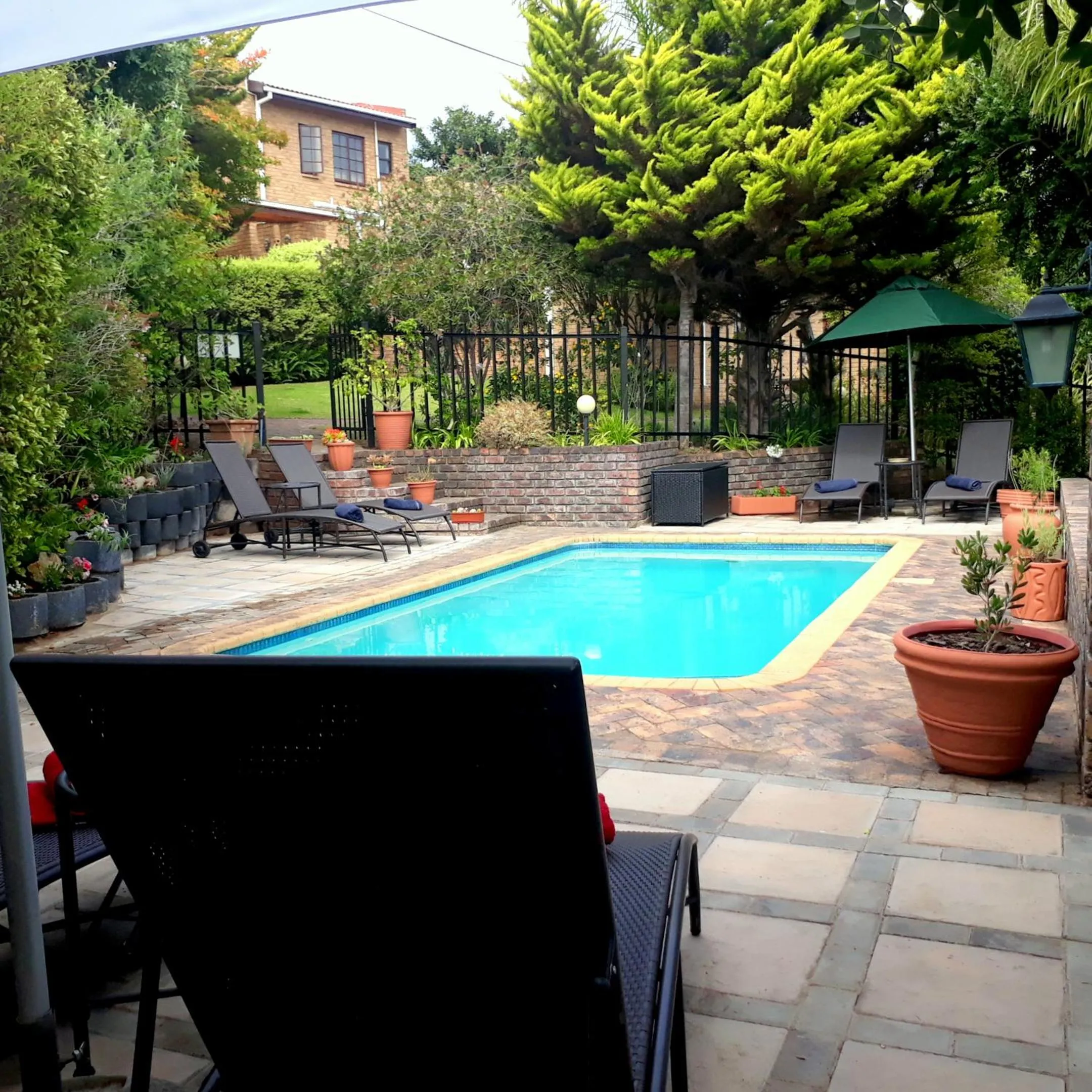 Garden in Bayside Lodge Garden Route B&B