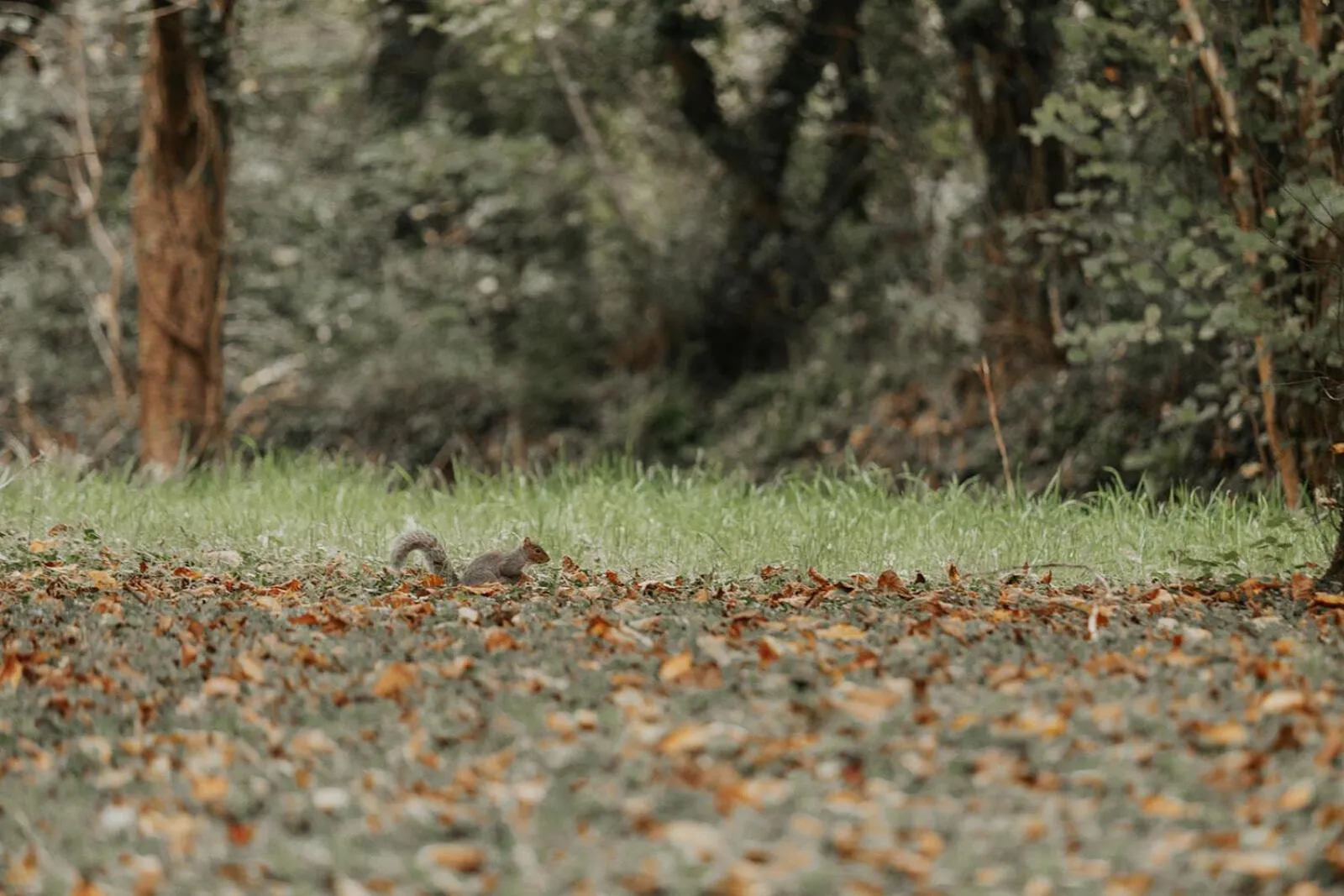Natural landscape in Chycara